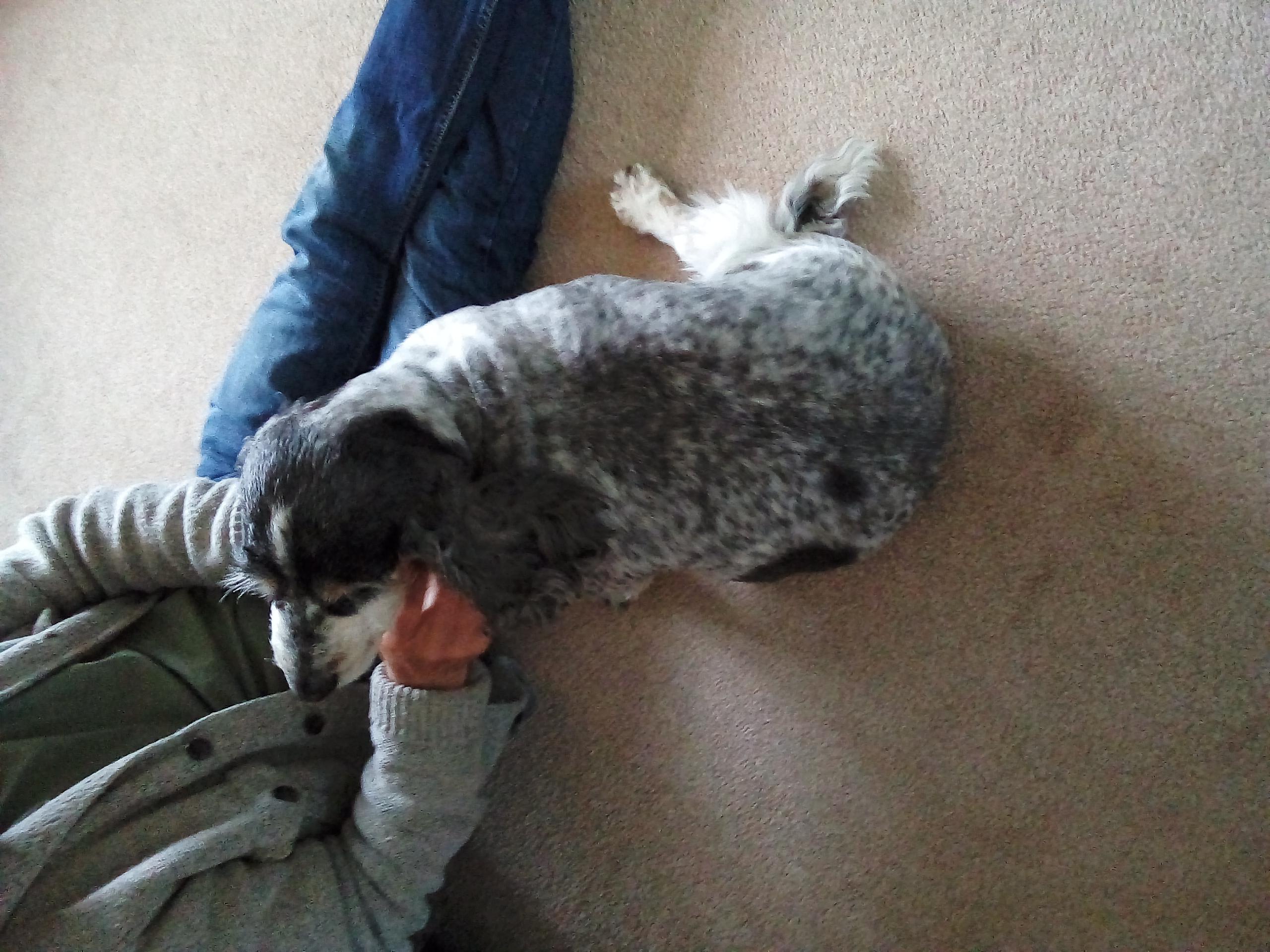 Question details sensitive content