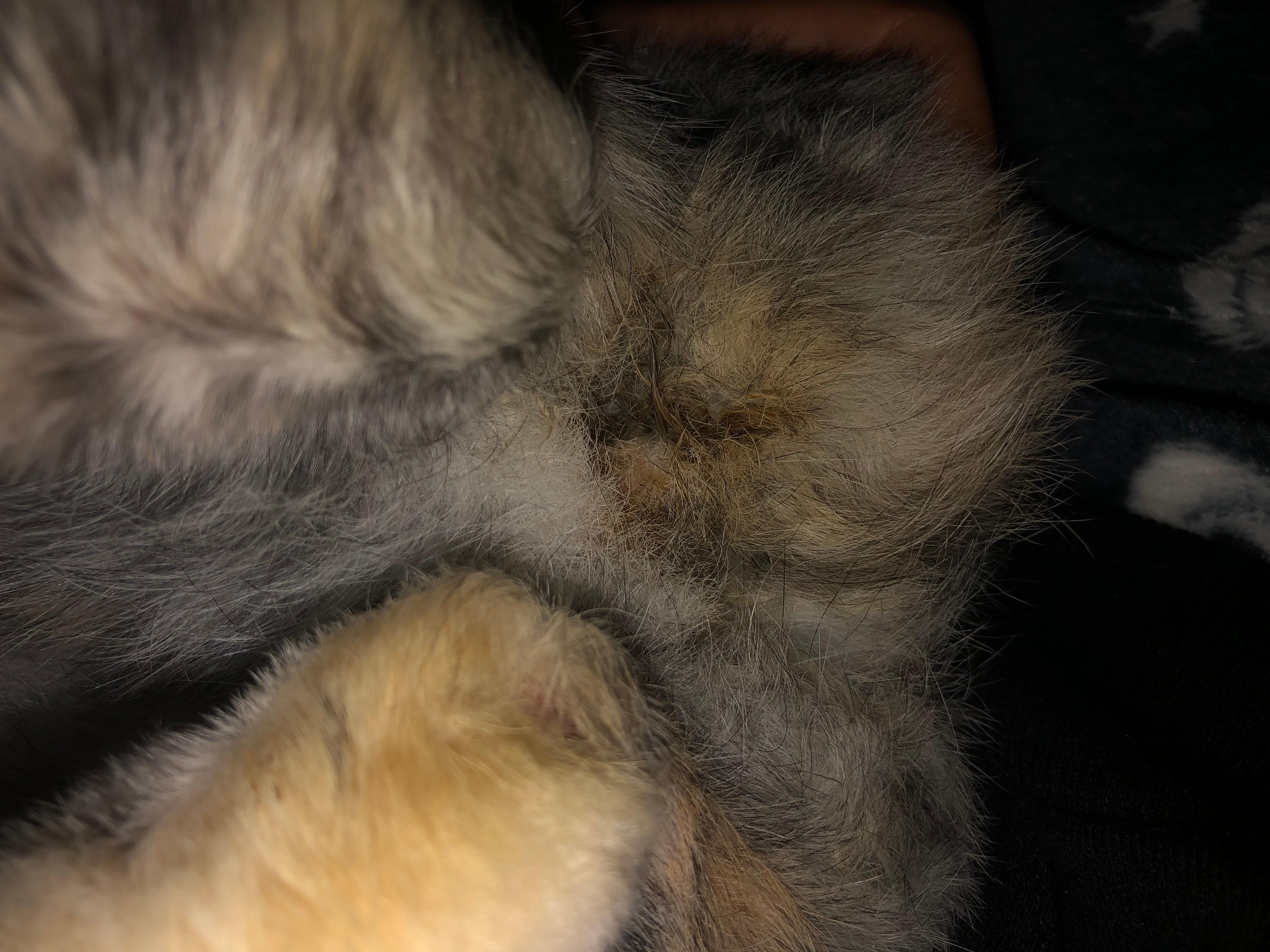 Question details sensitive content