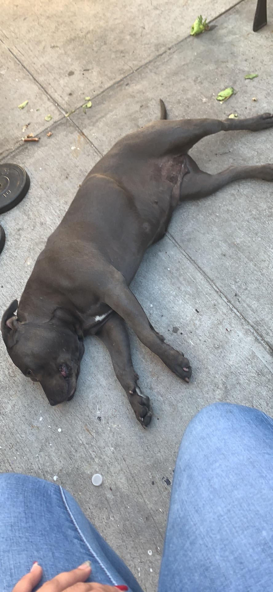 Question details sensitive content