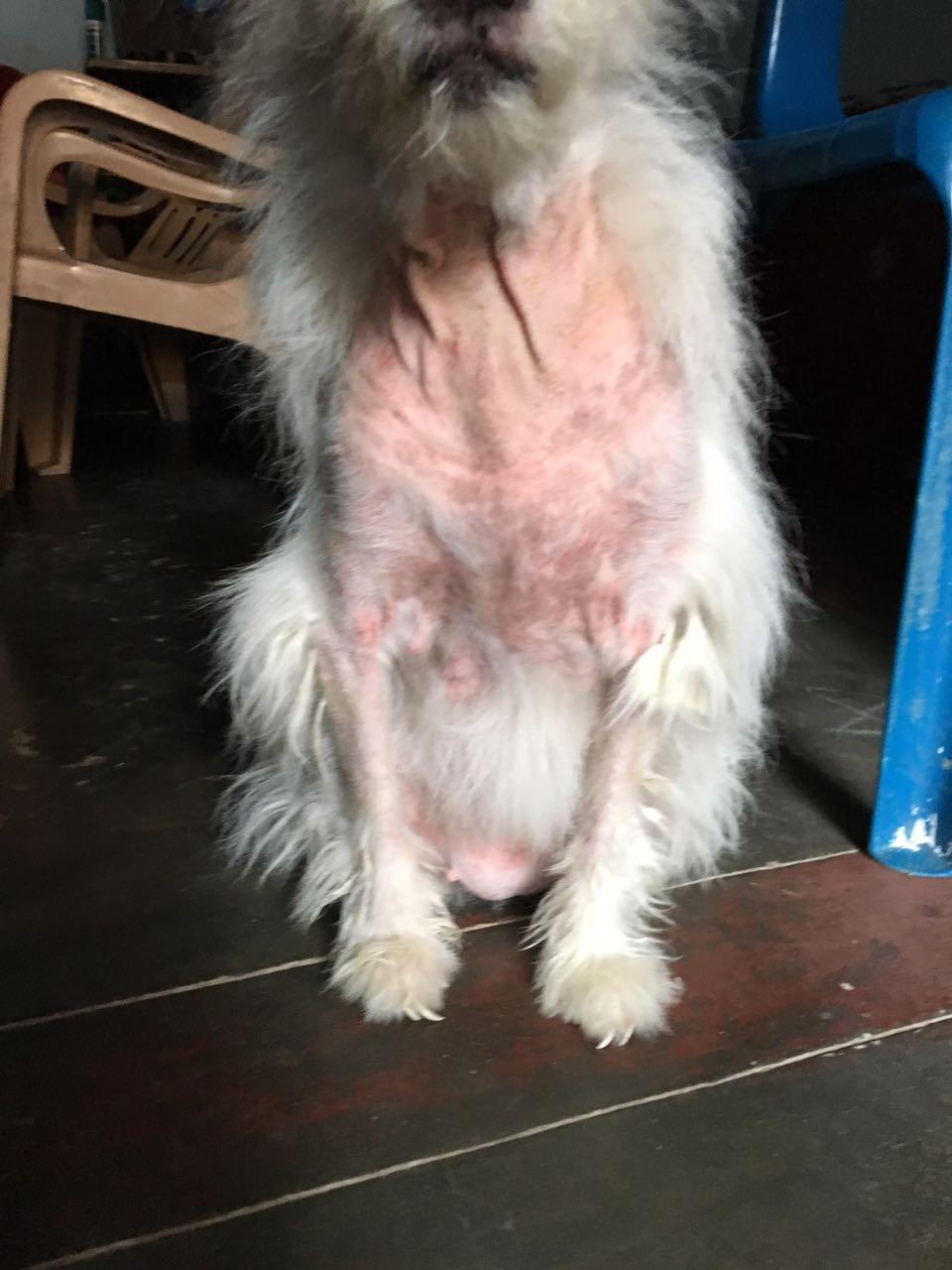 Question details sensitive content