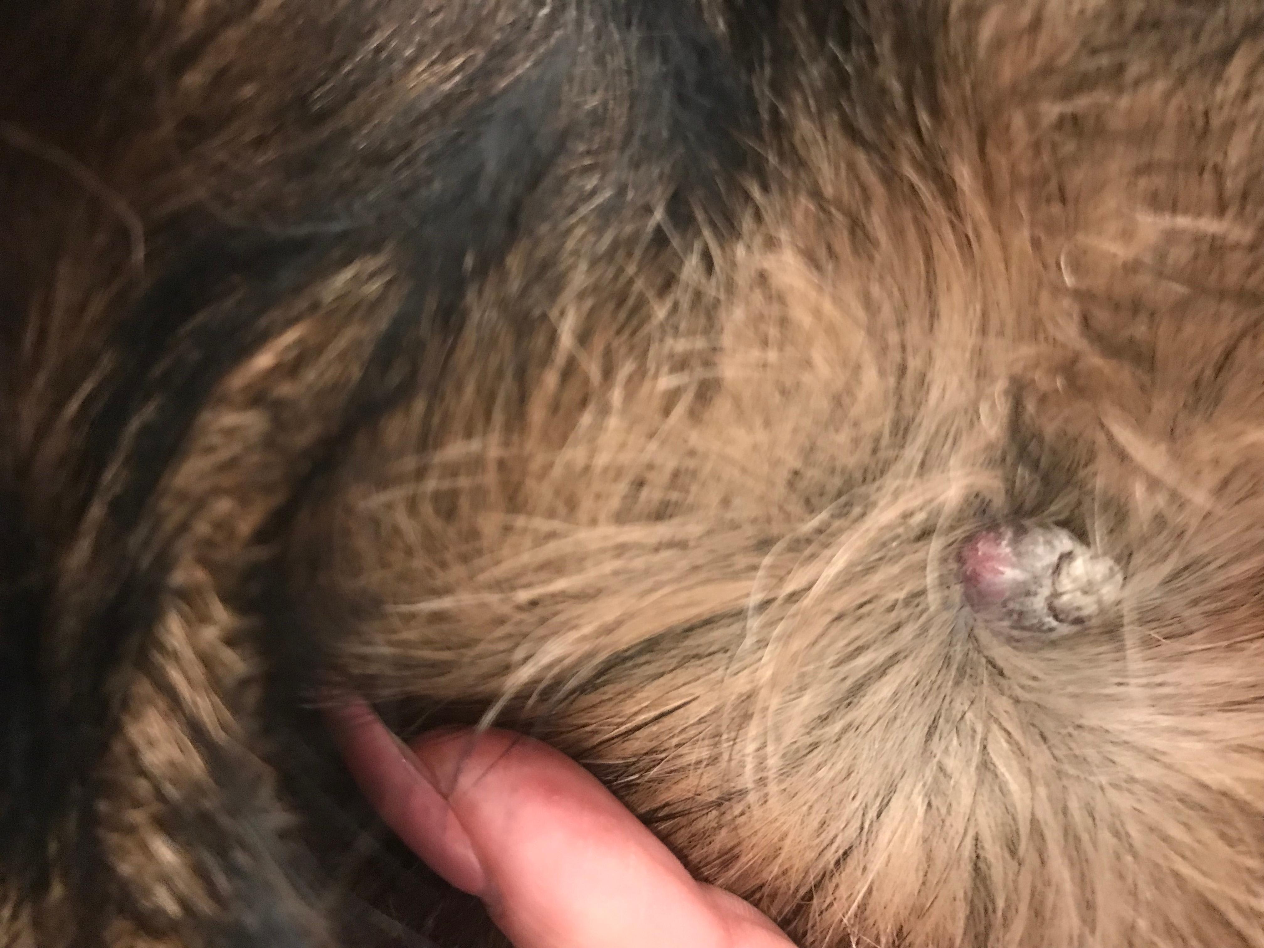 Question details sensitive content