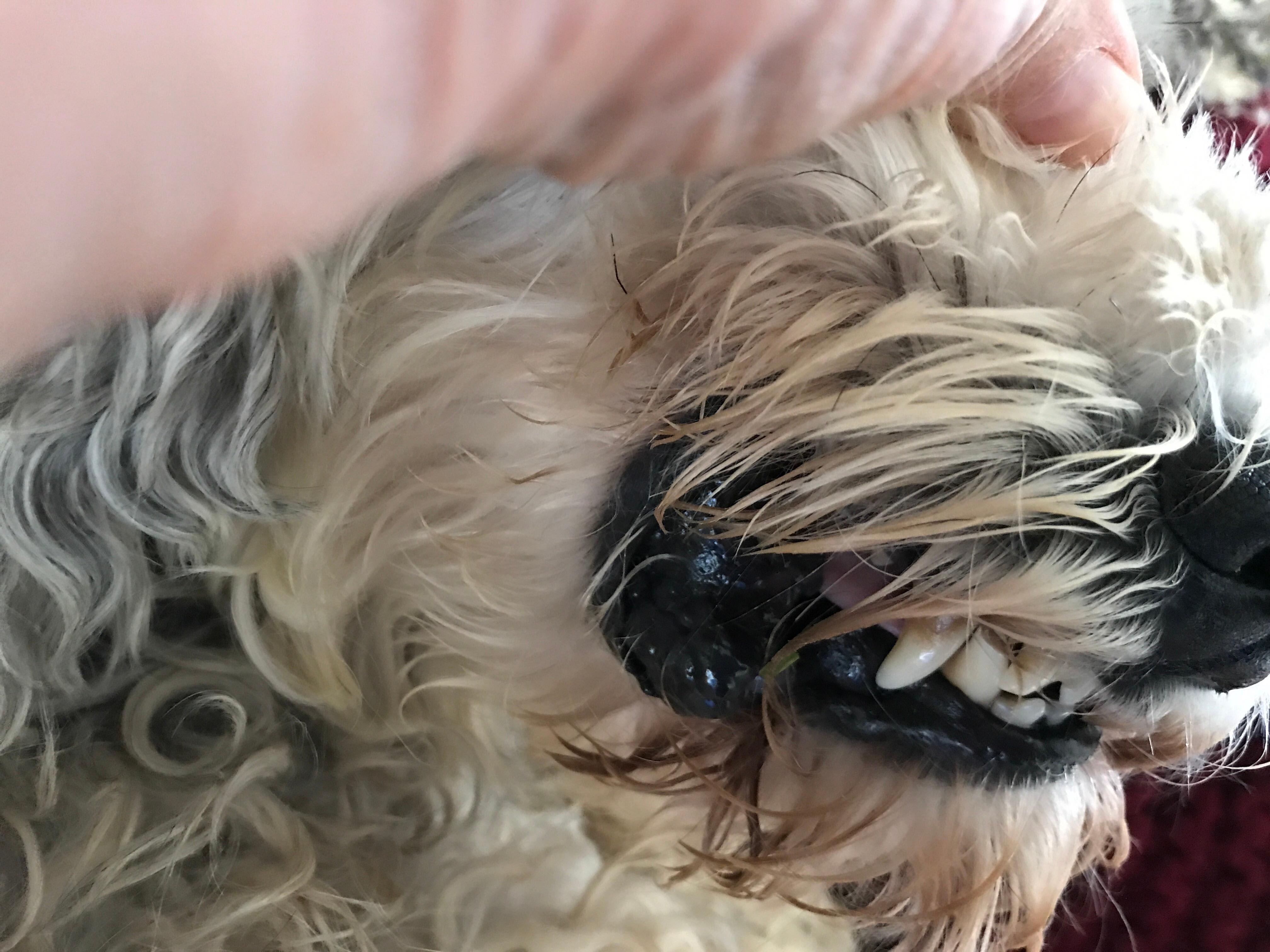 Question details sensitive content