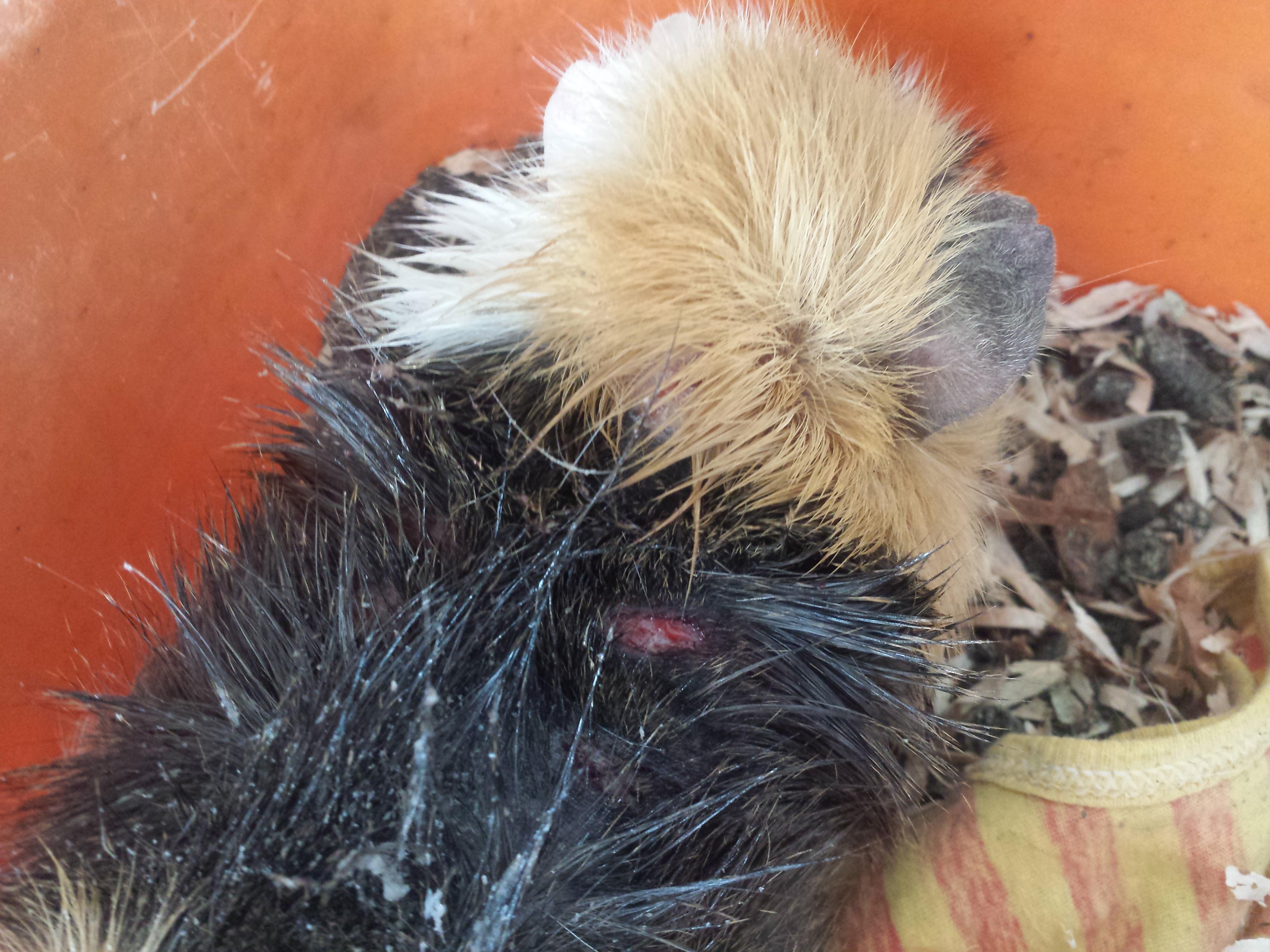 Question details sensitive content