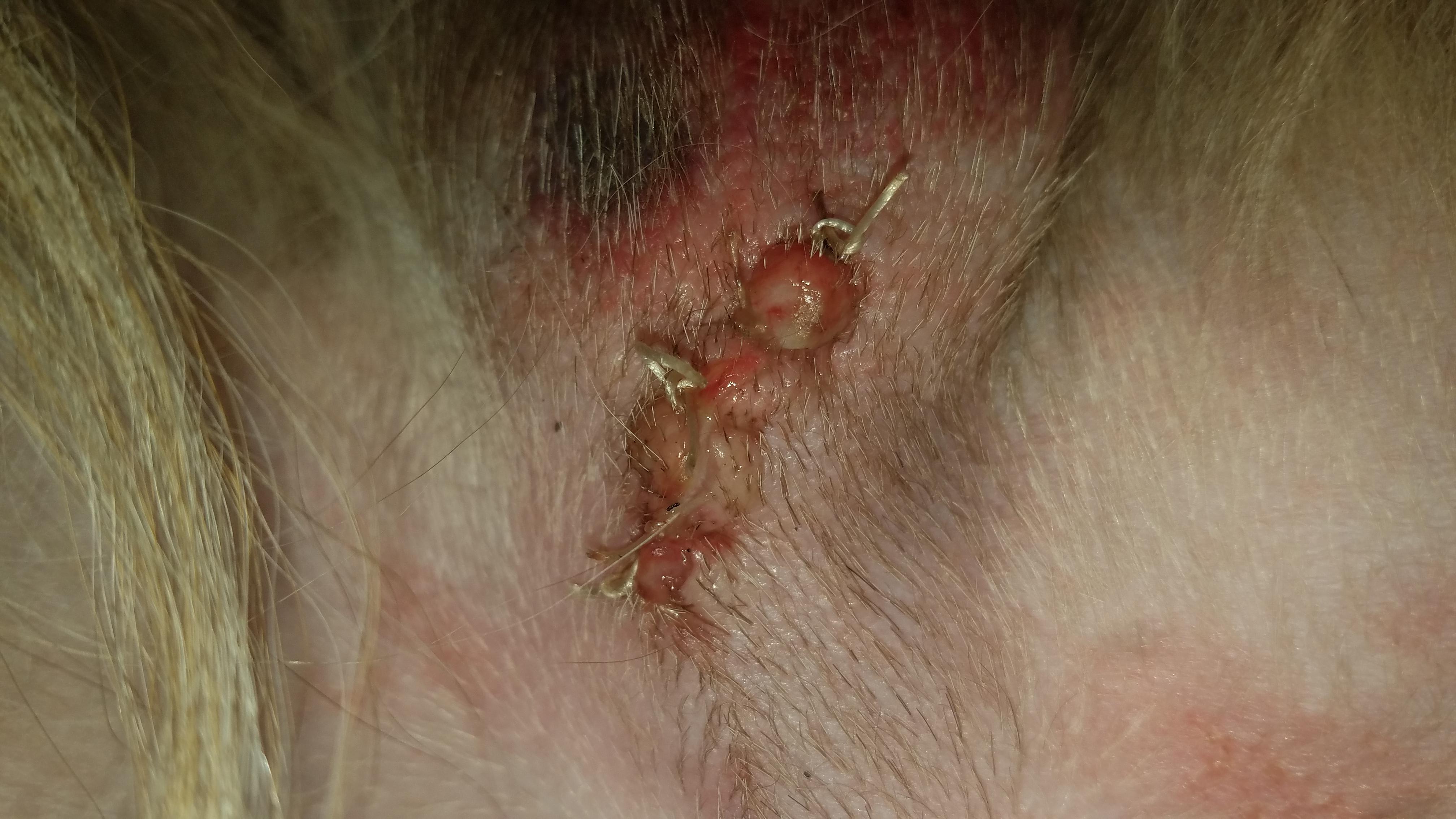 Question details sensitive content