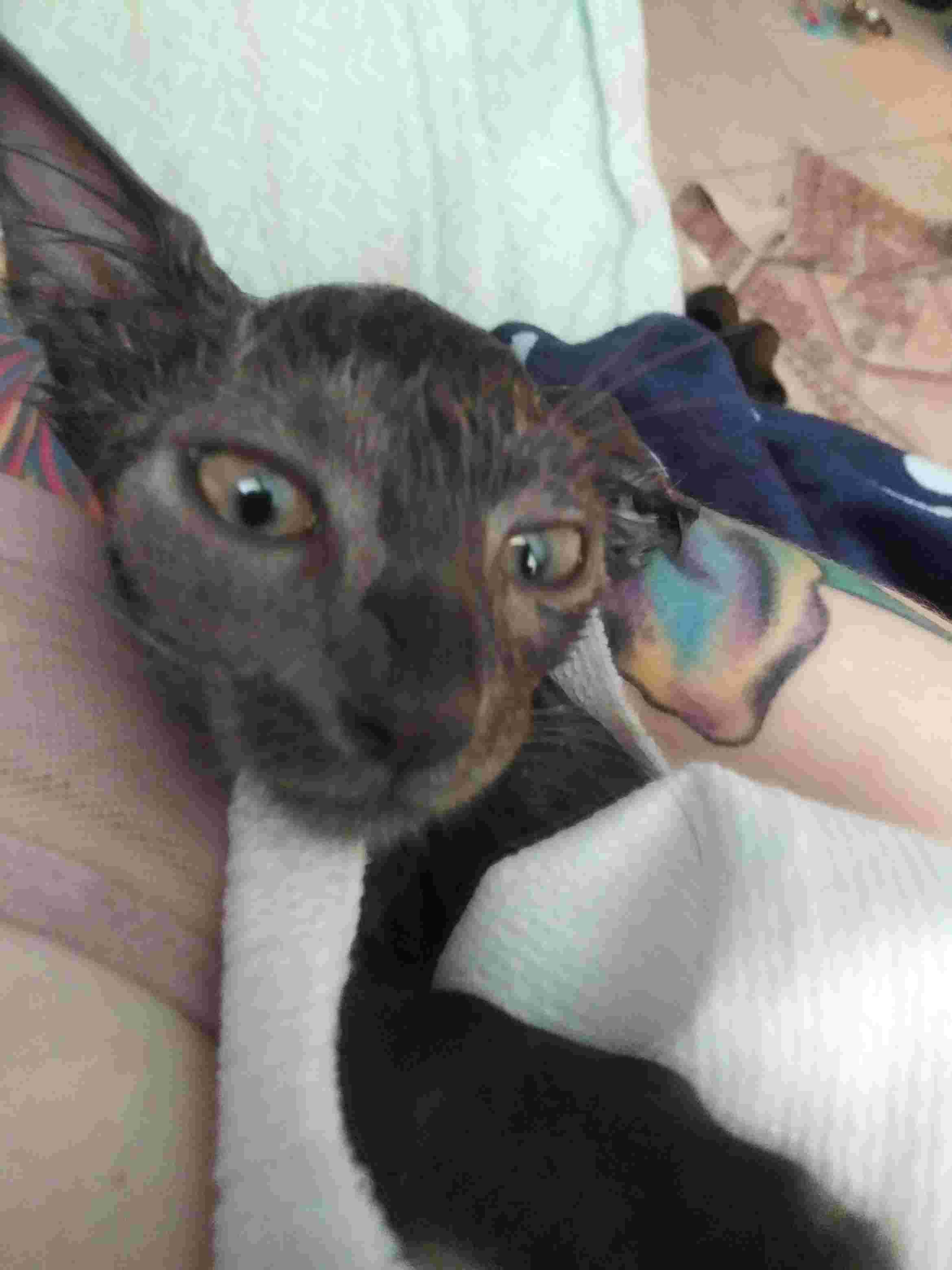 Question details sensitive content