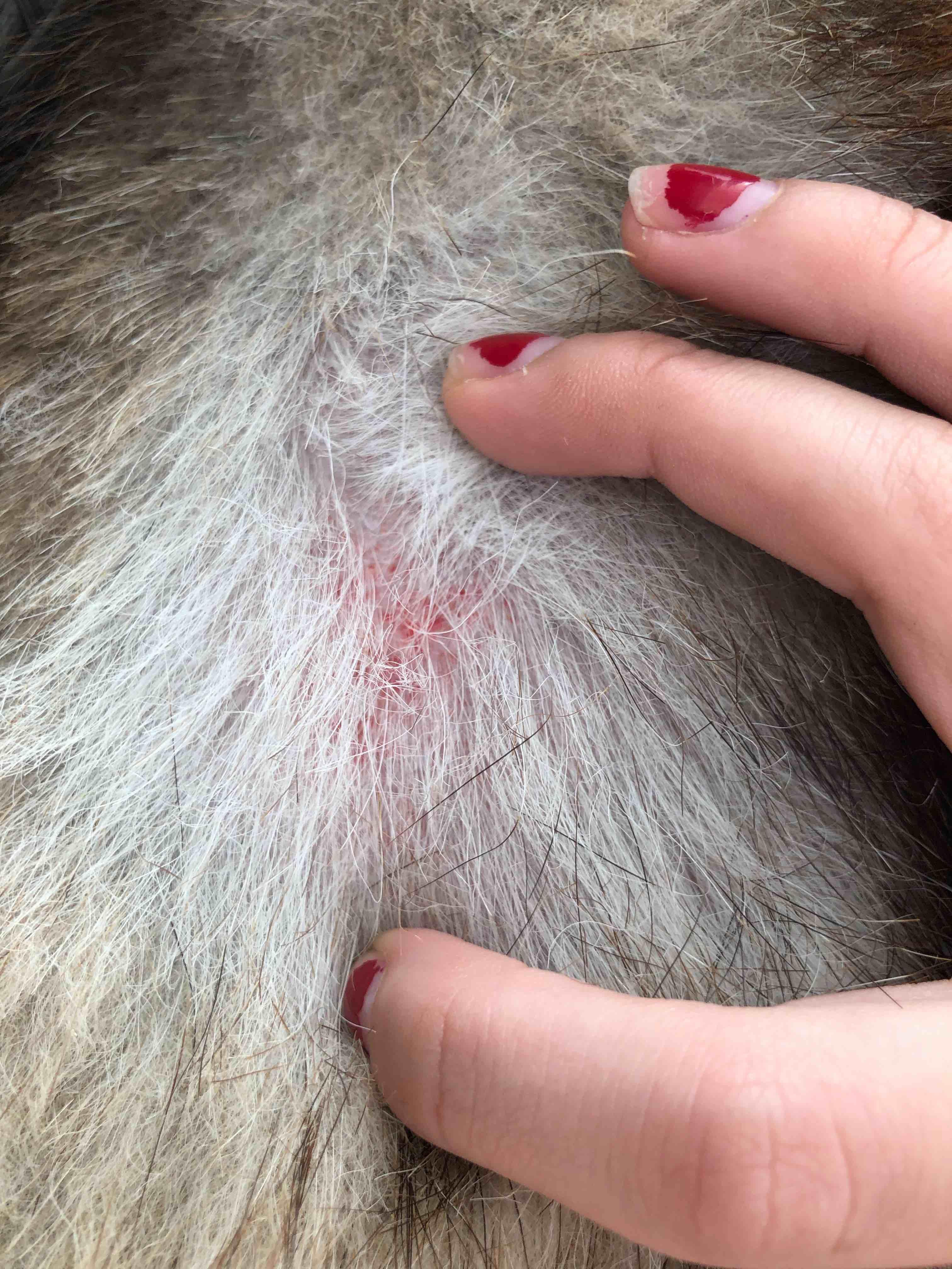 Question details sensitive content