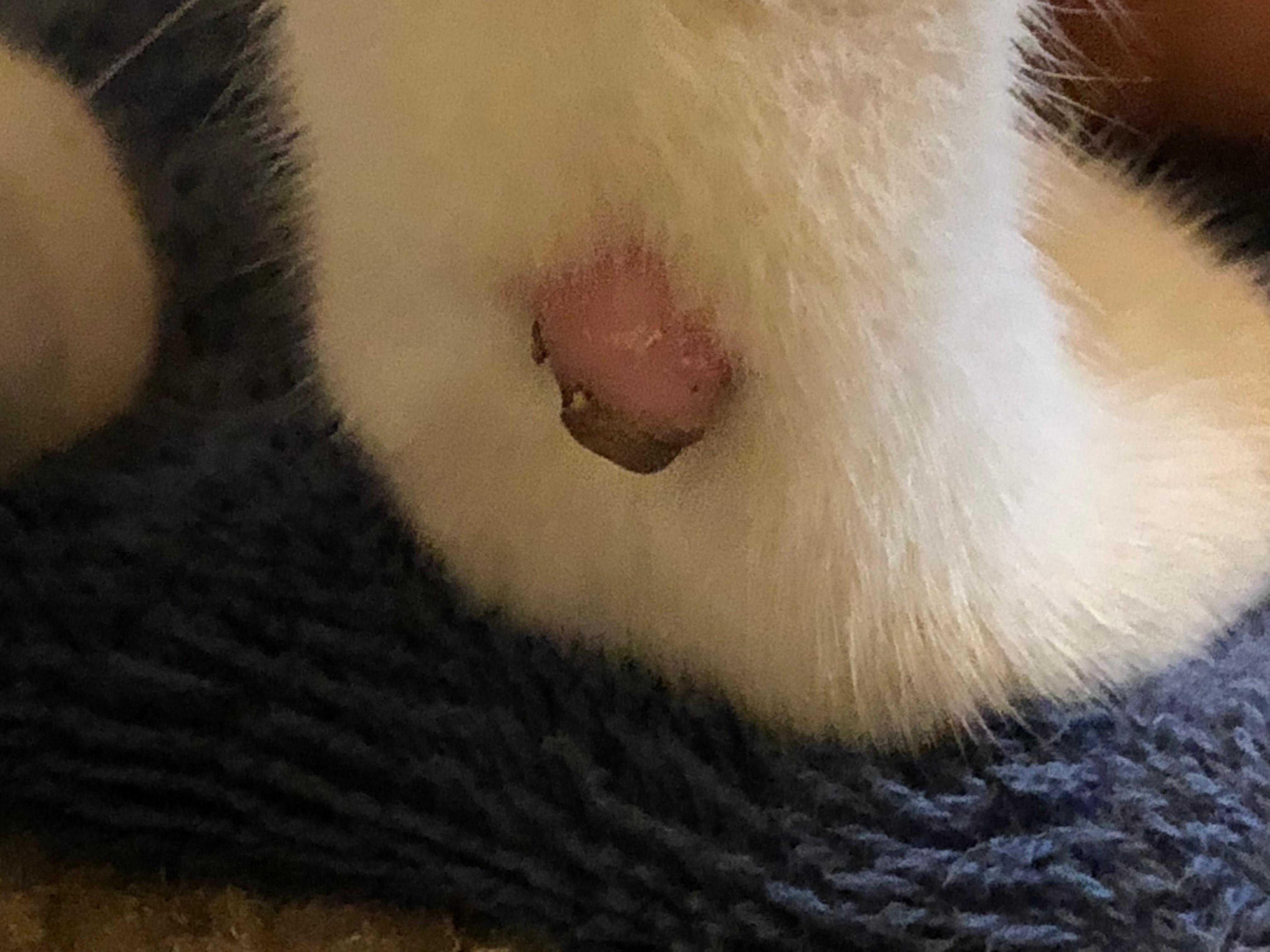 Question details sensitive content