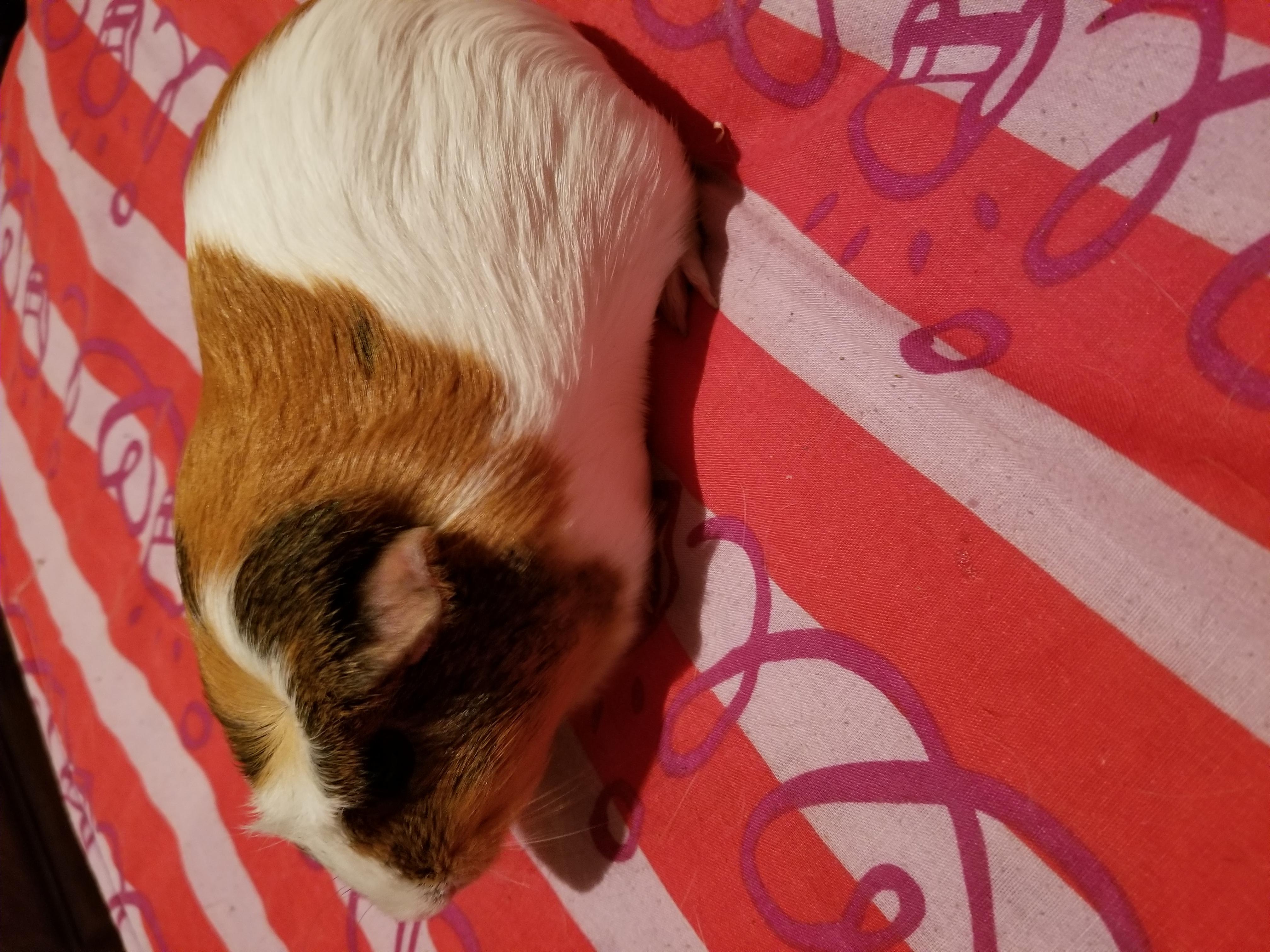 Question details sensitive content