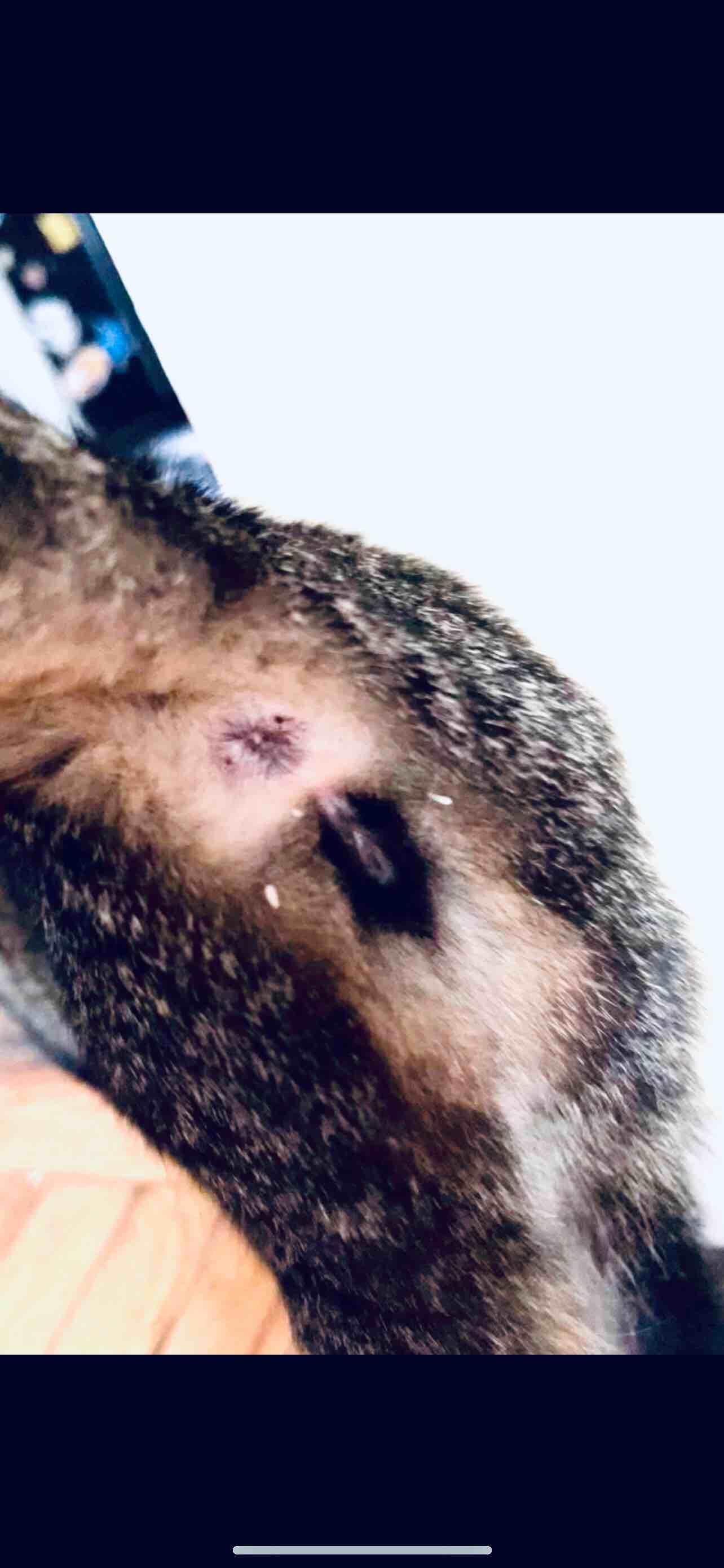 Question details sensitive content