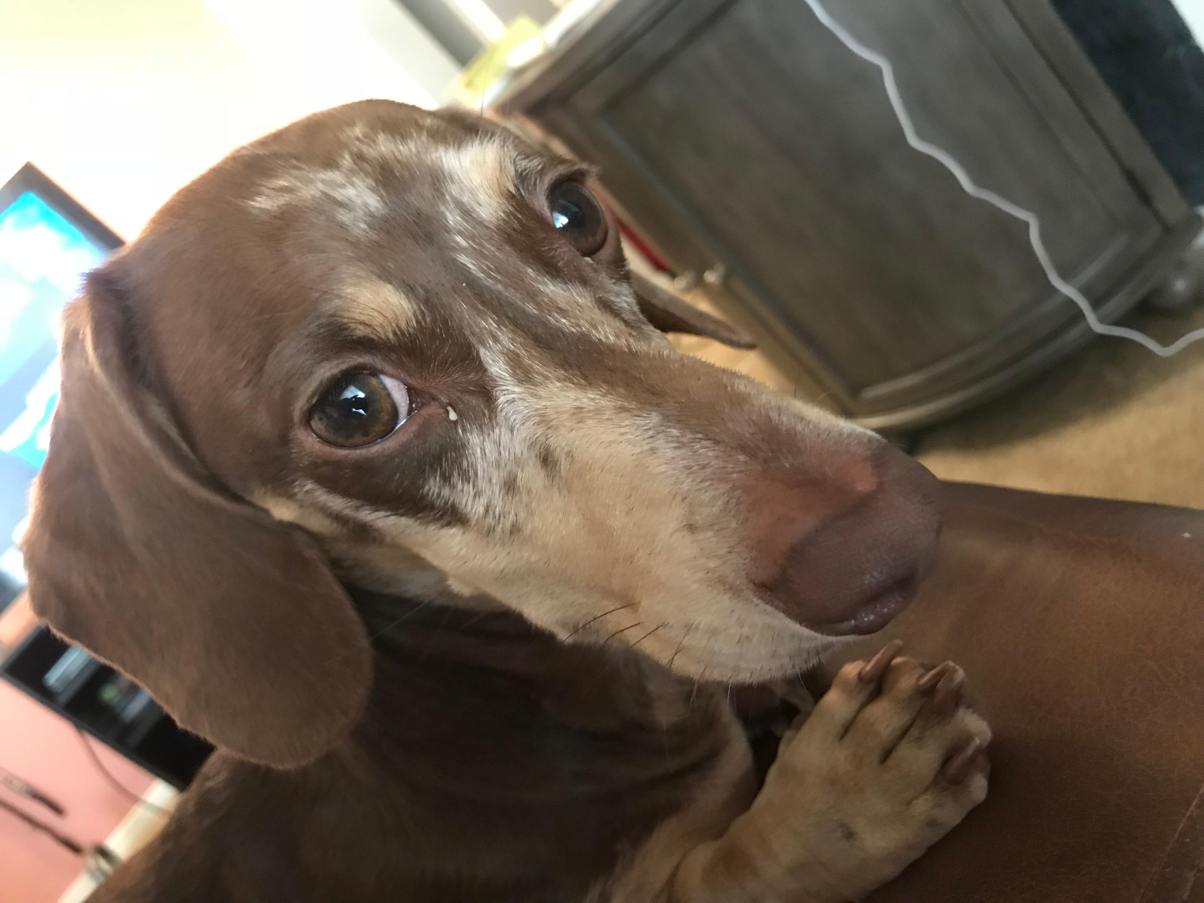 Question details sensitive content