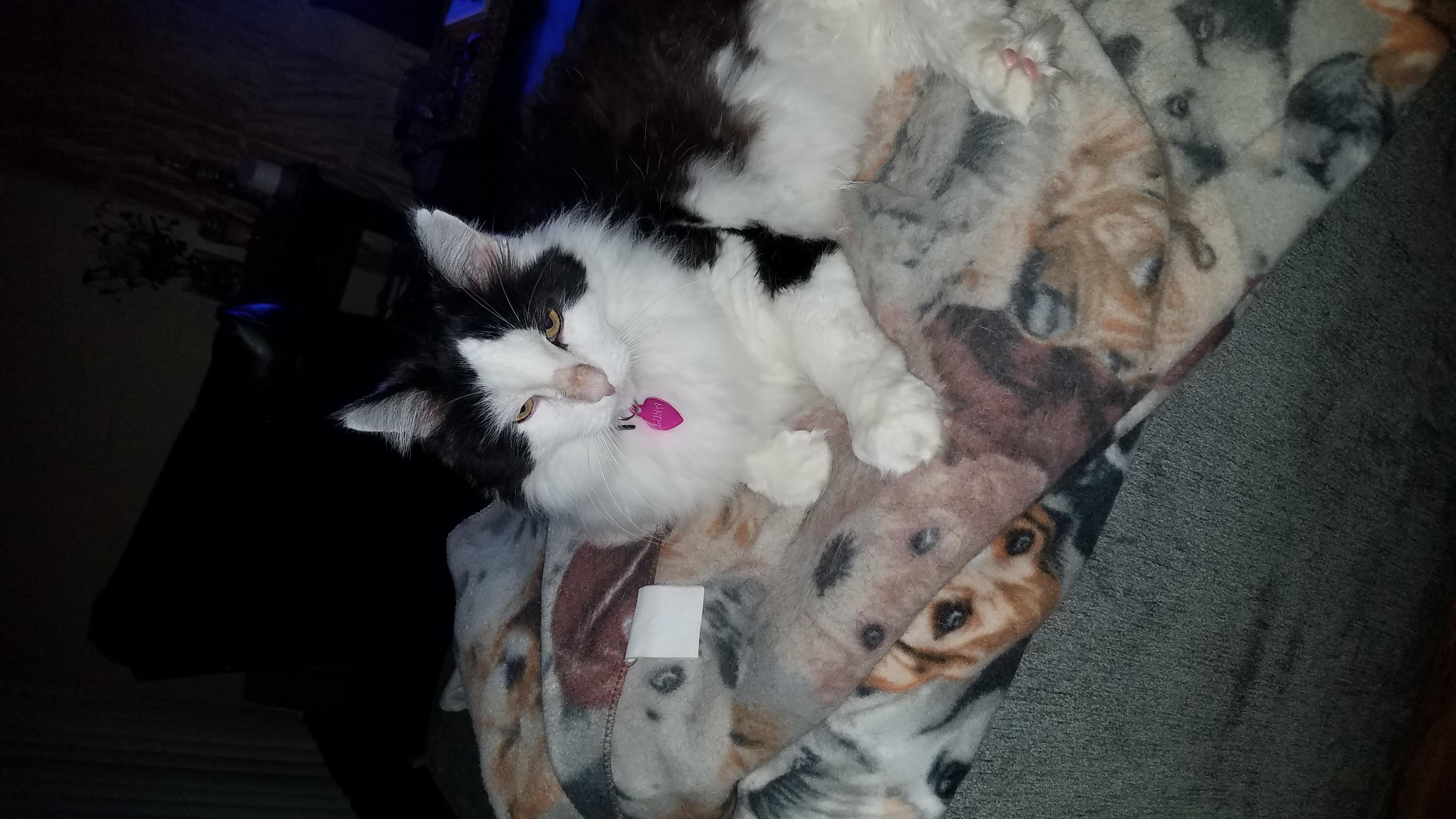 Question details sensitive content