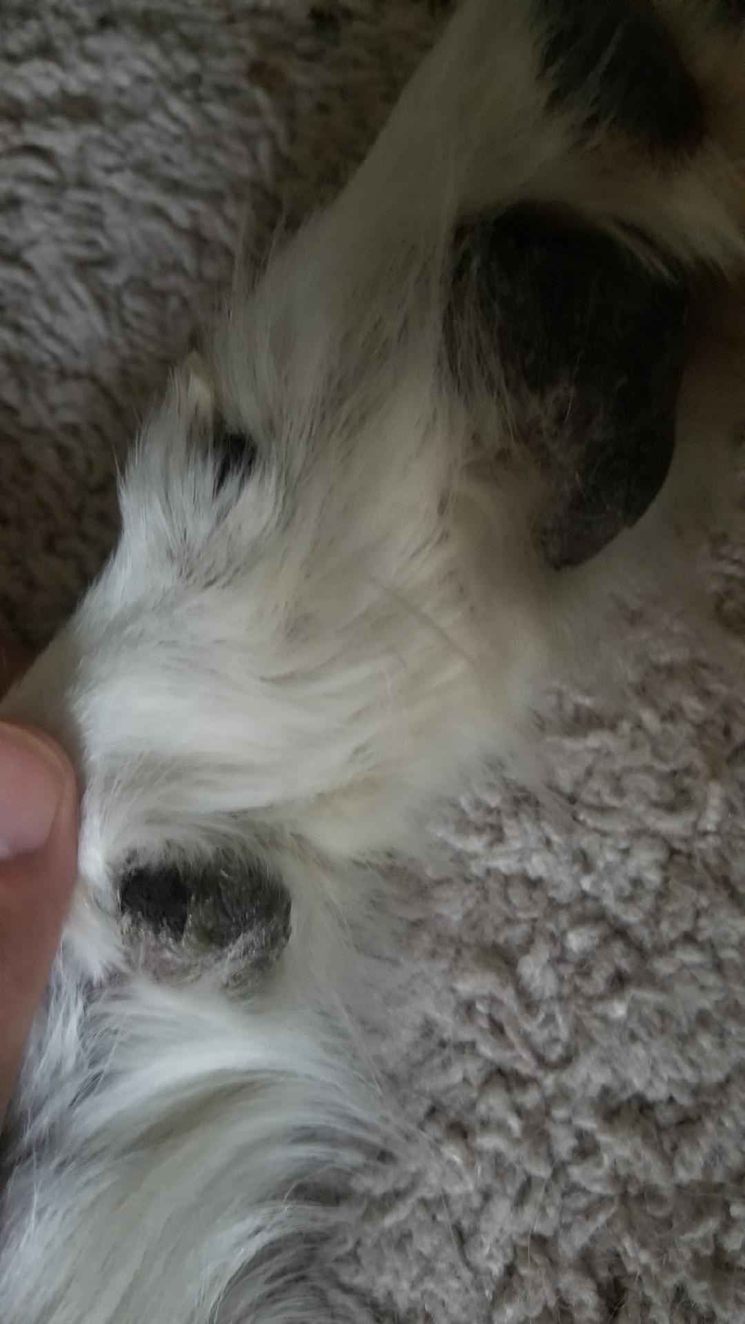 Question details sensitive content