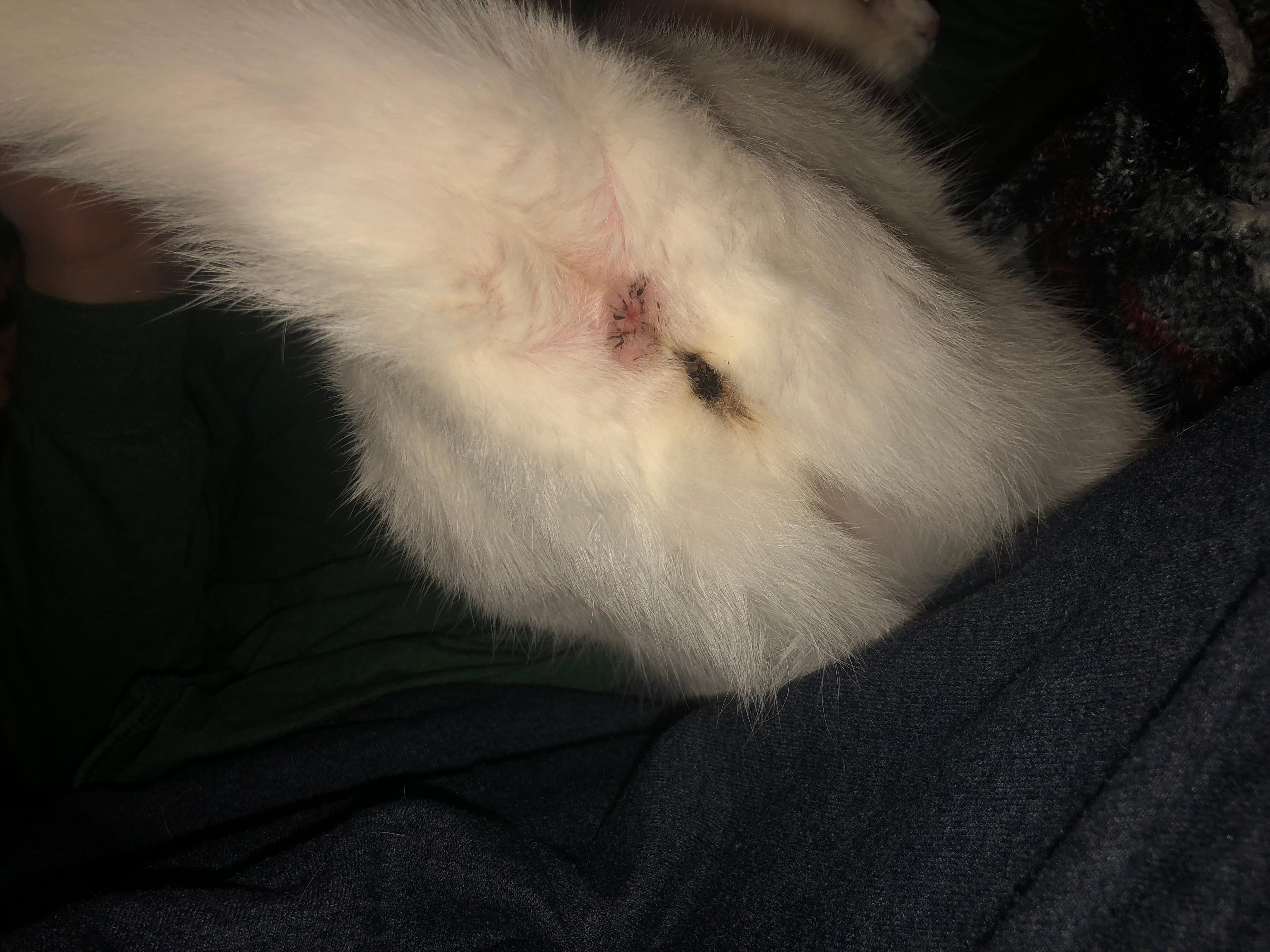 Question details sensitive content