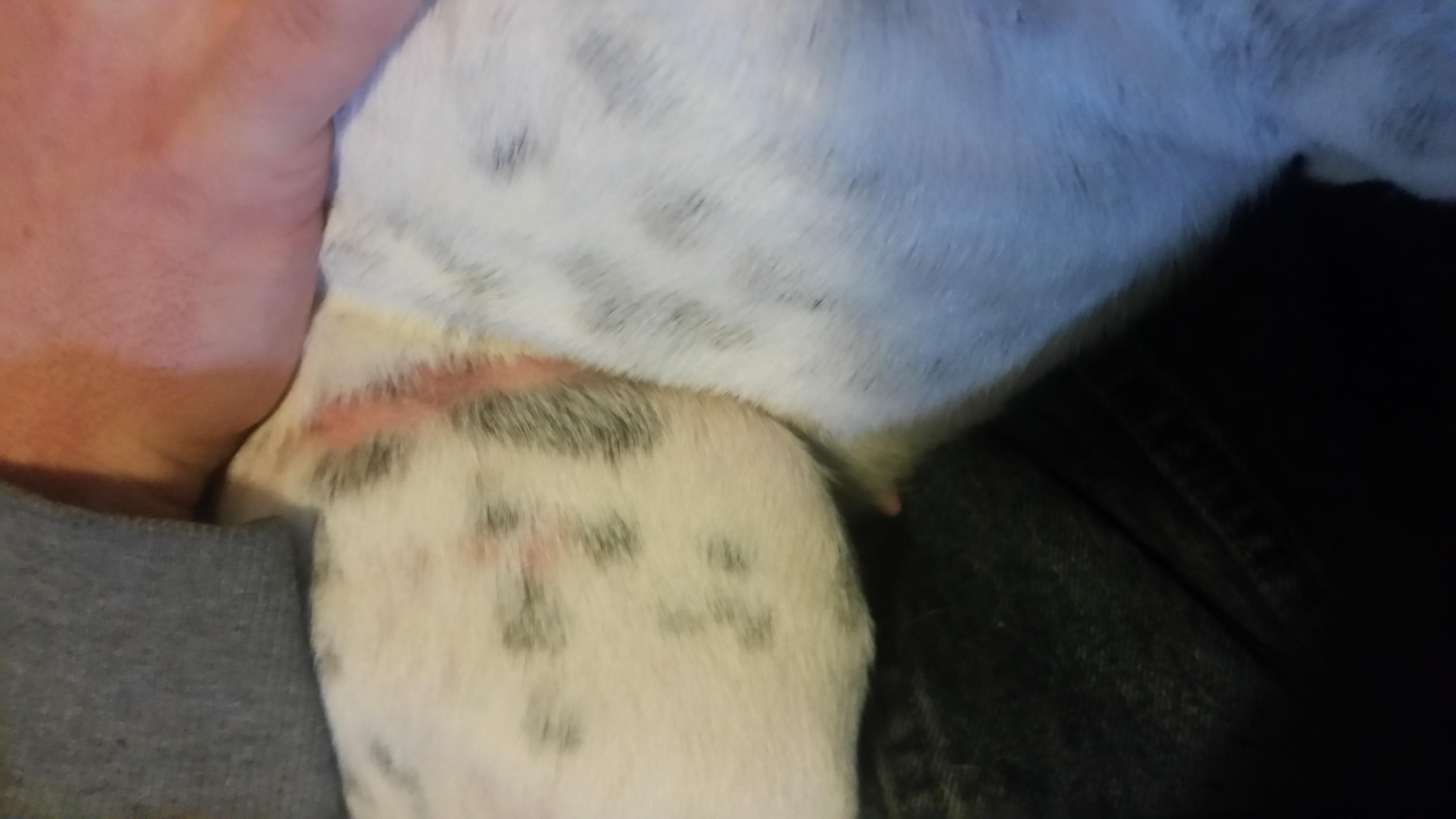 Question details sensitive content