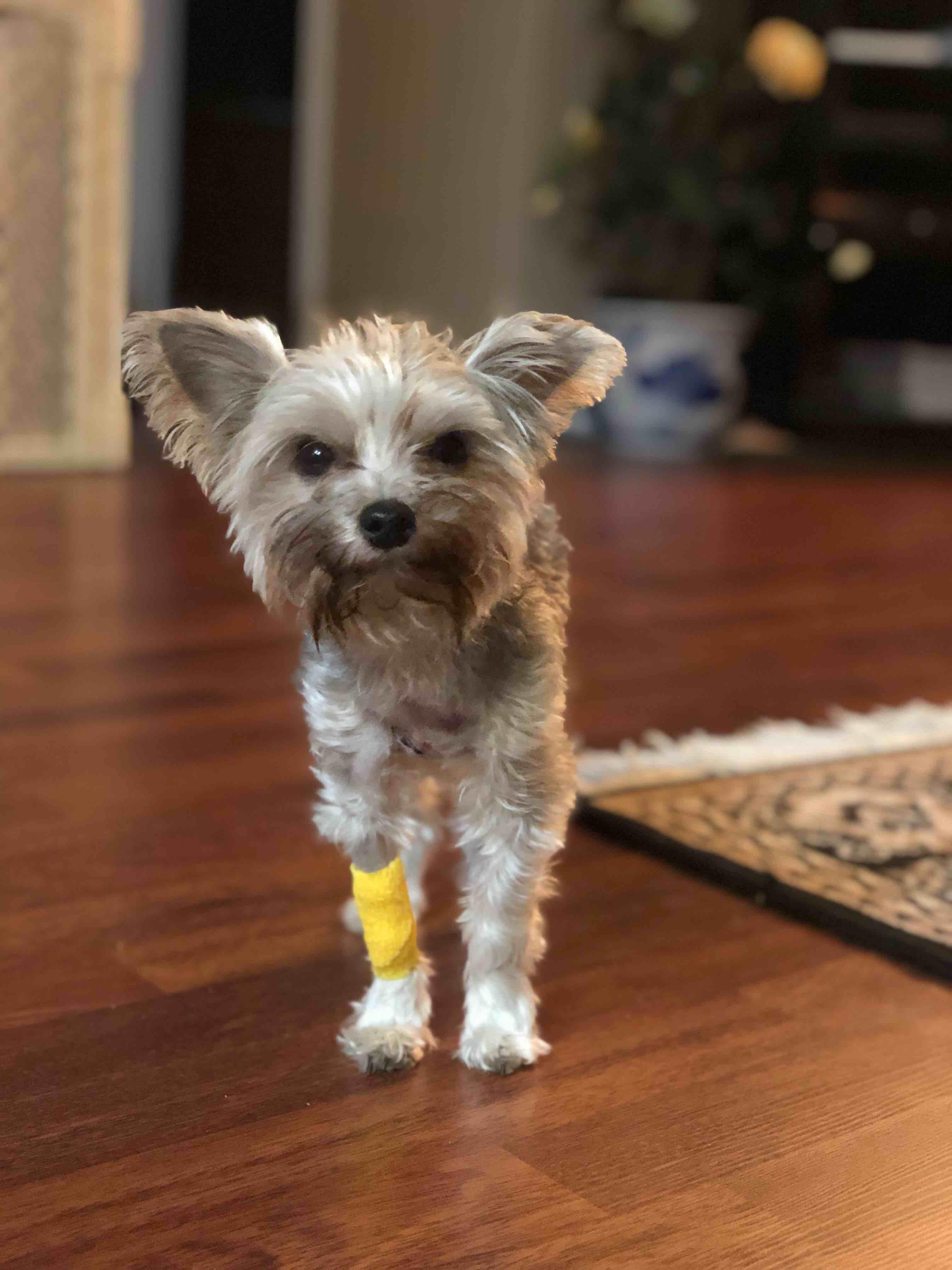 Question details sensitive content