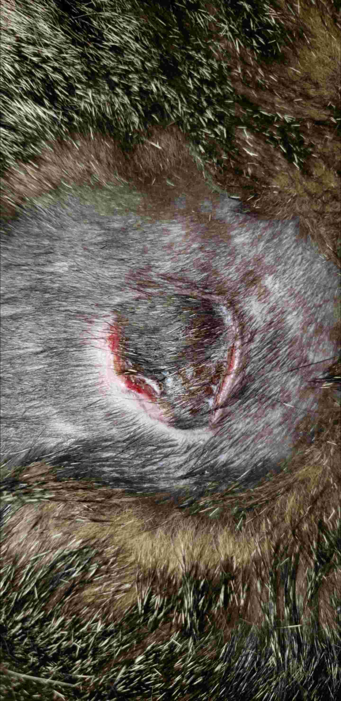 Question details sensitive content