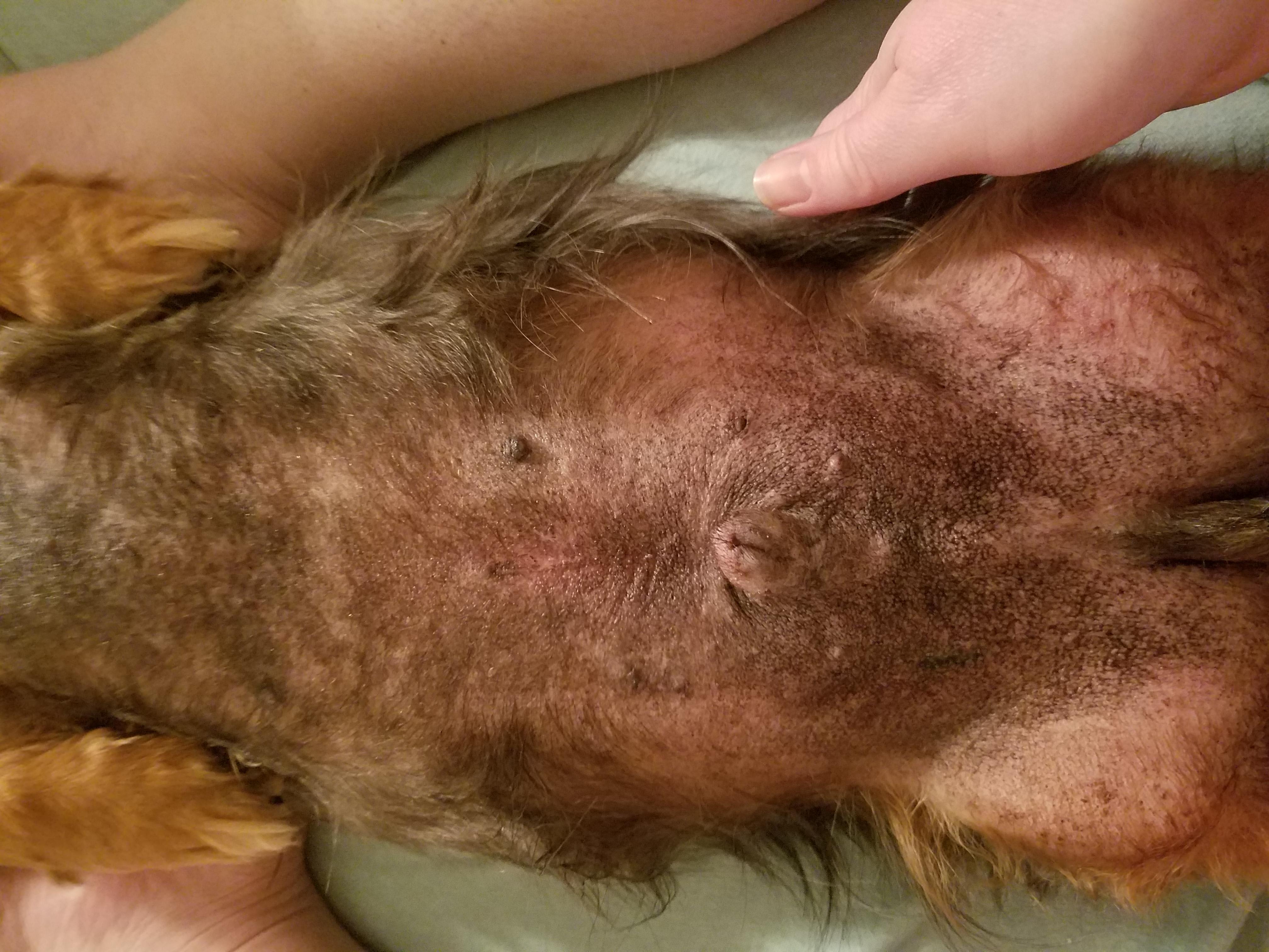 Question details sensitive content