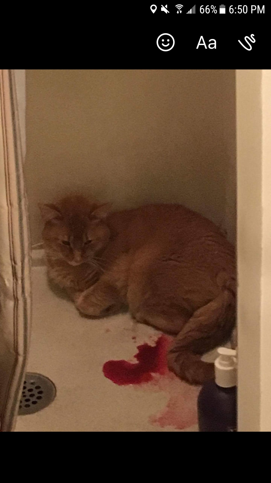 Question details sensitive content