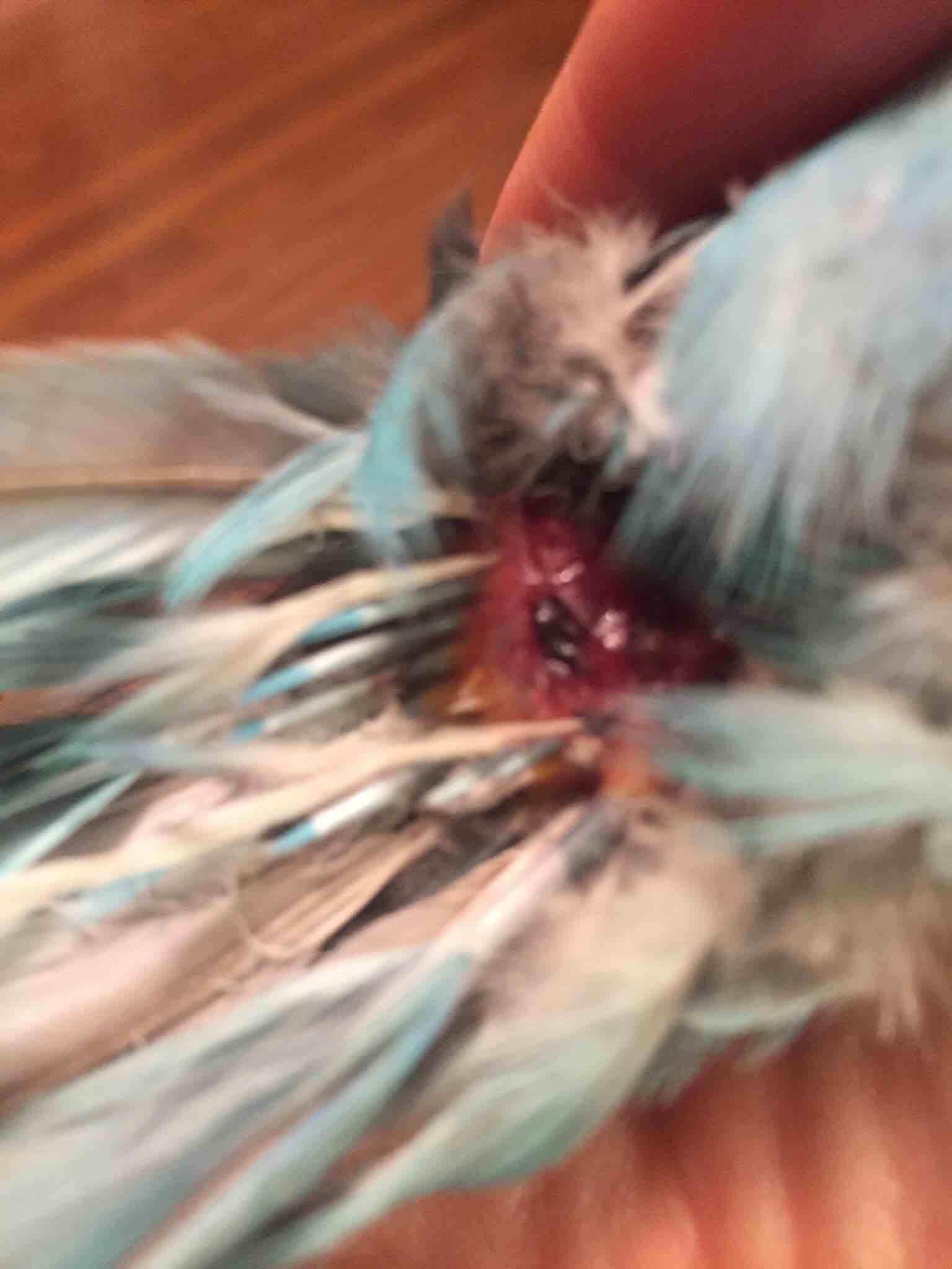 Question details sensitive content