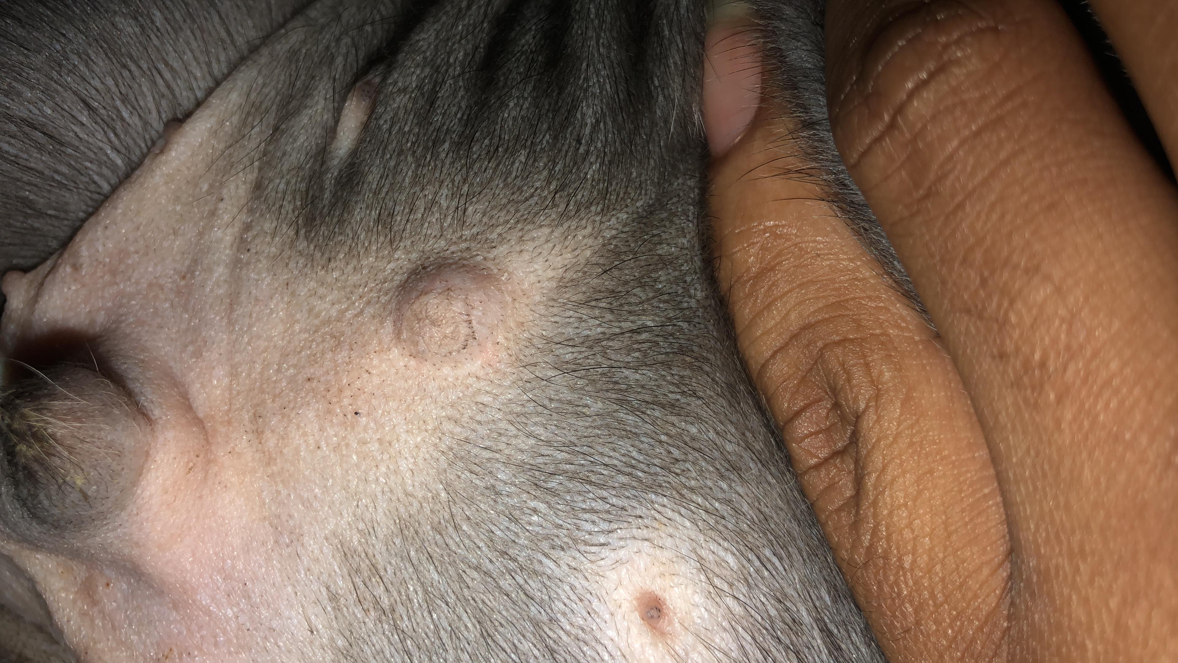 Question details sensitive content