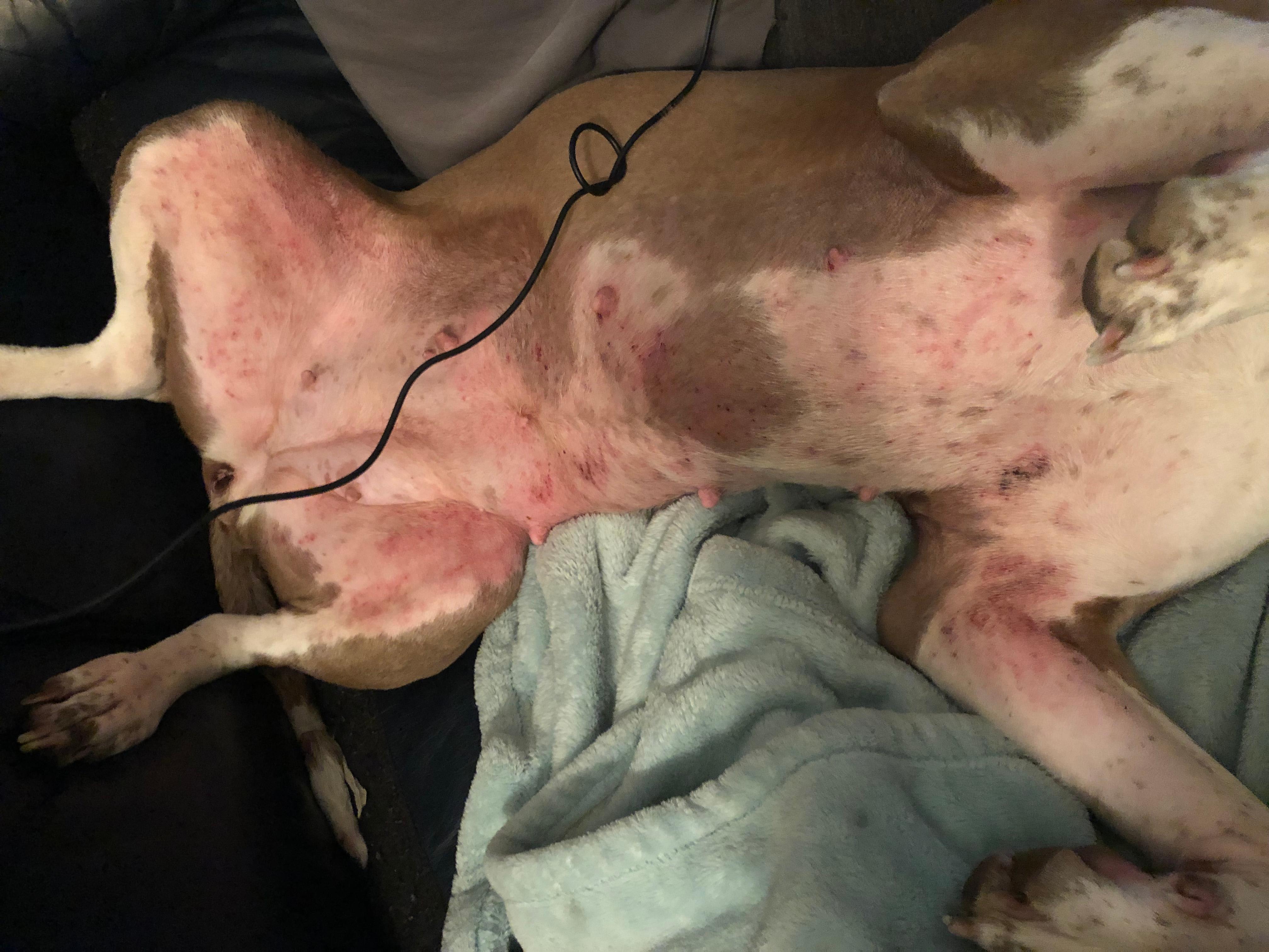 Question details sensitive content