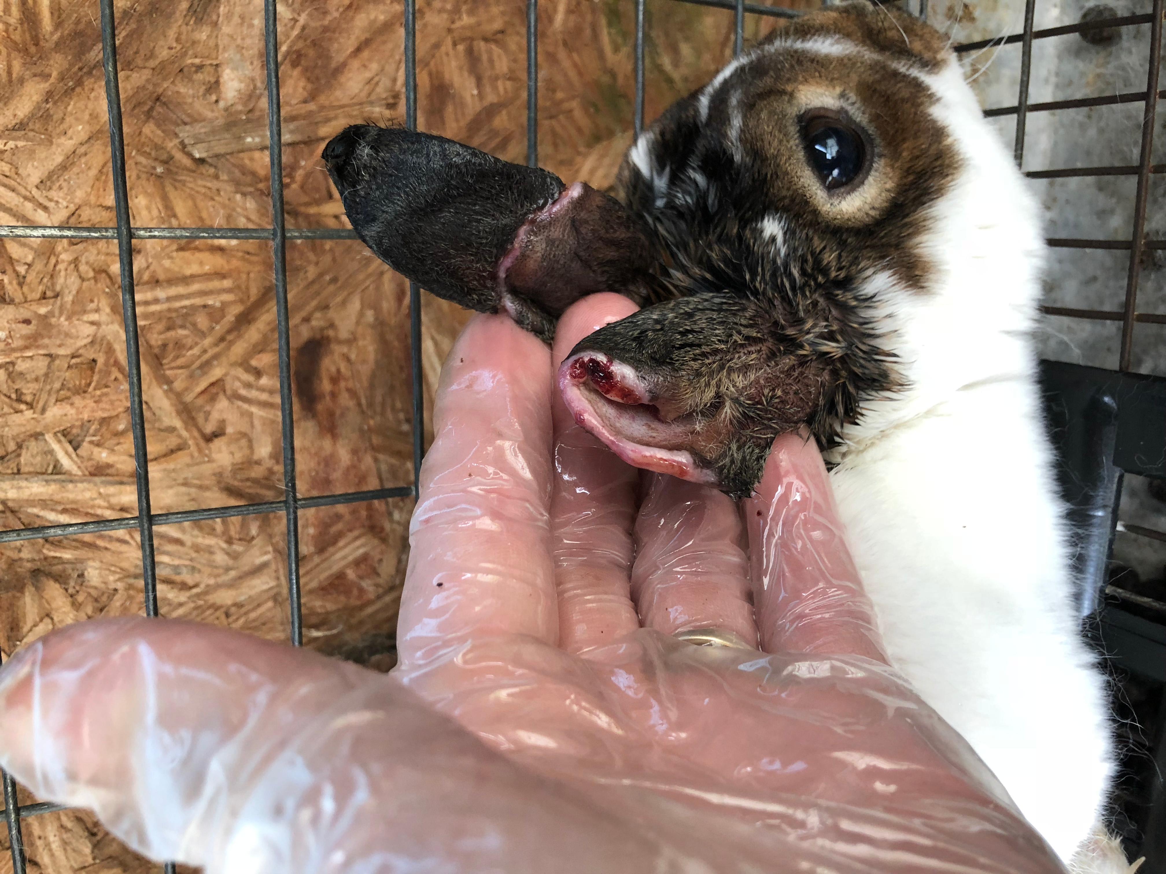 Question details sensitive content