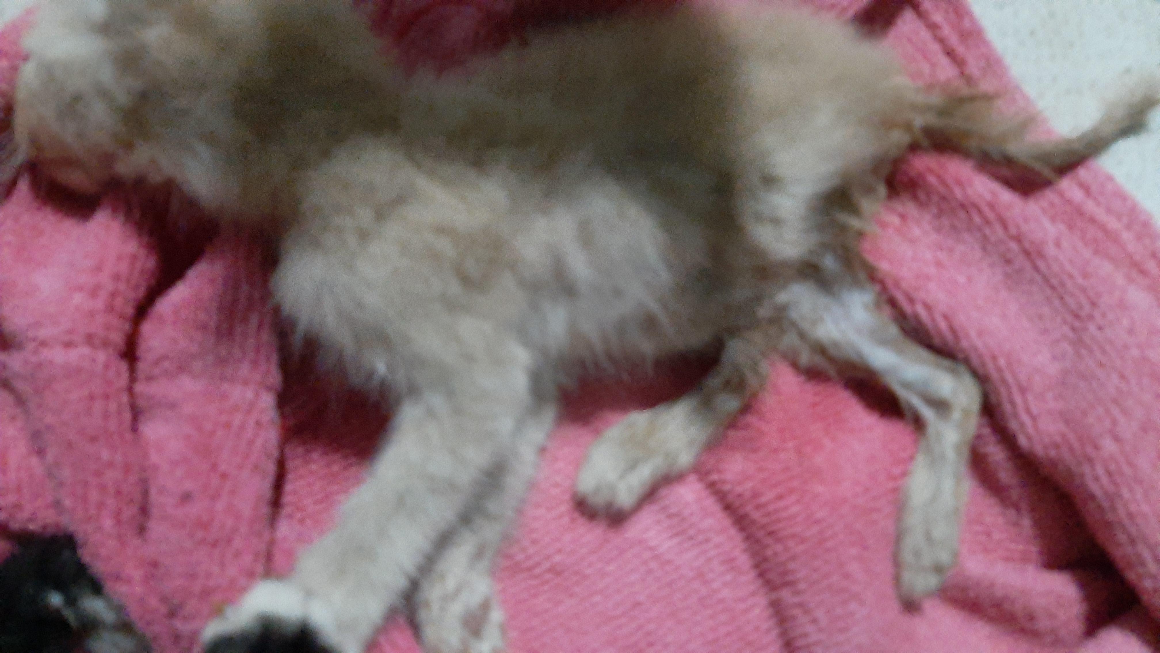 Question details sensitive content