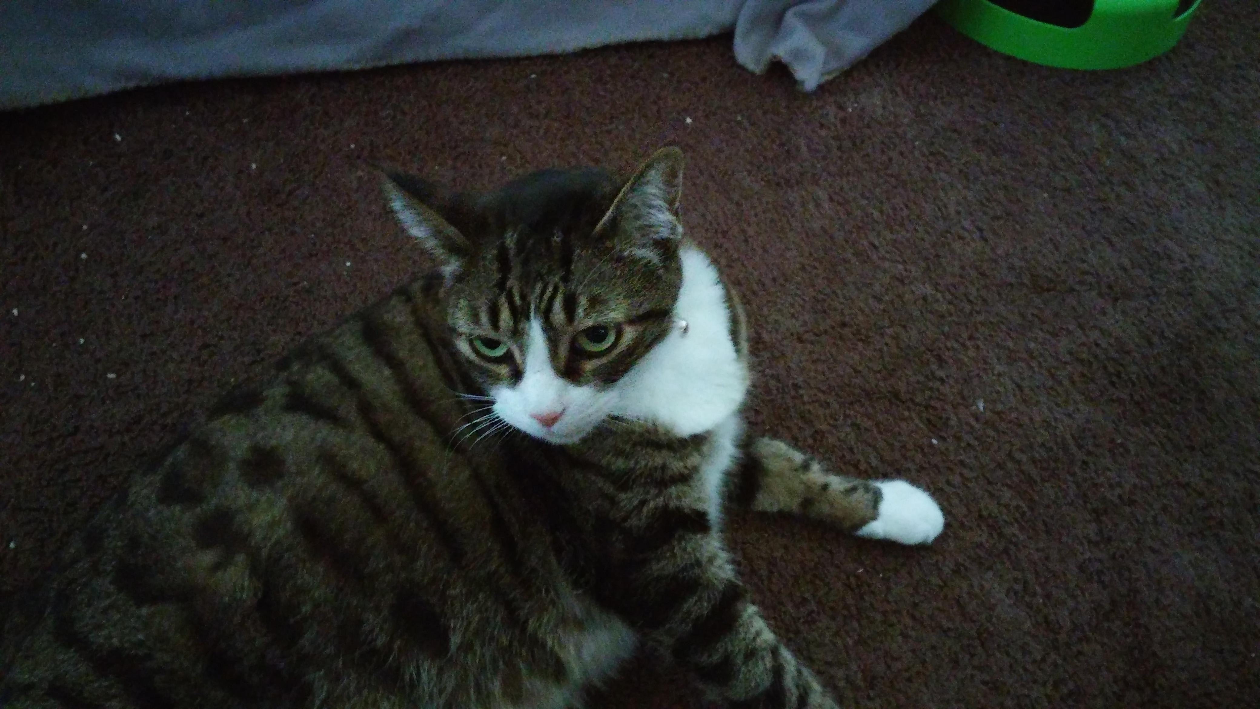 Question details sensitive content