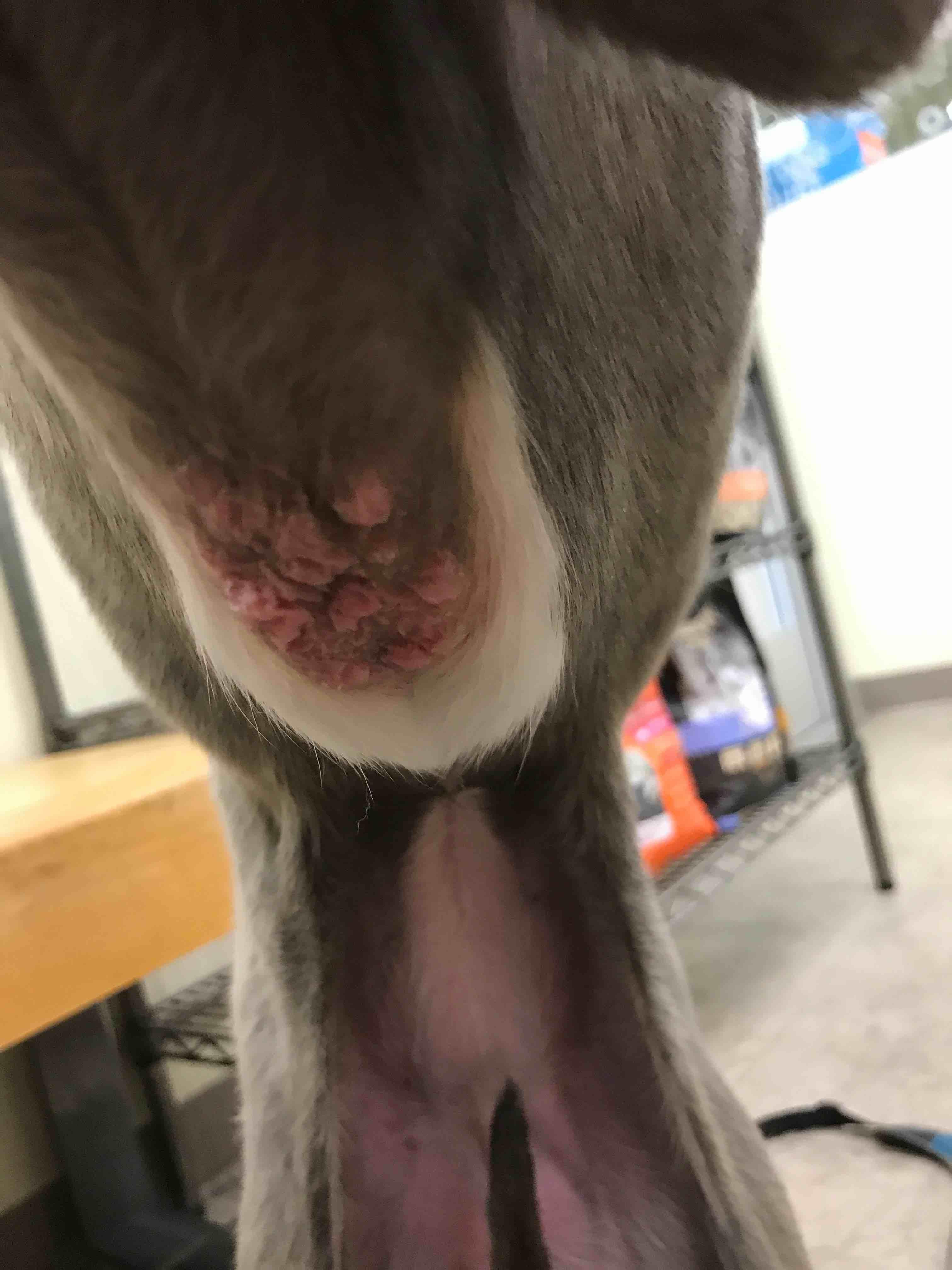 Question details sensitive content