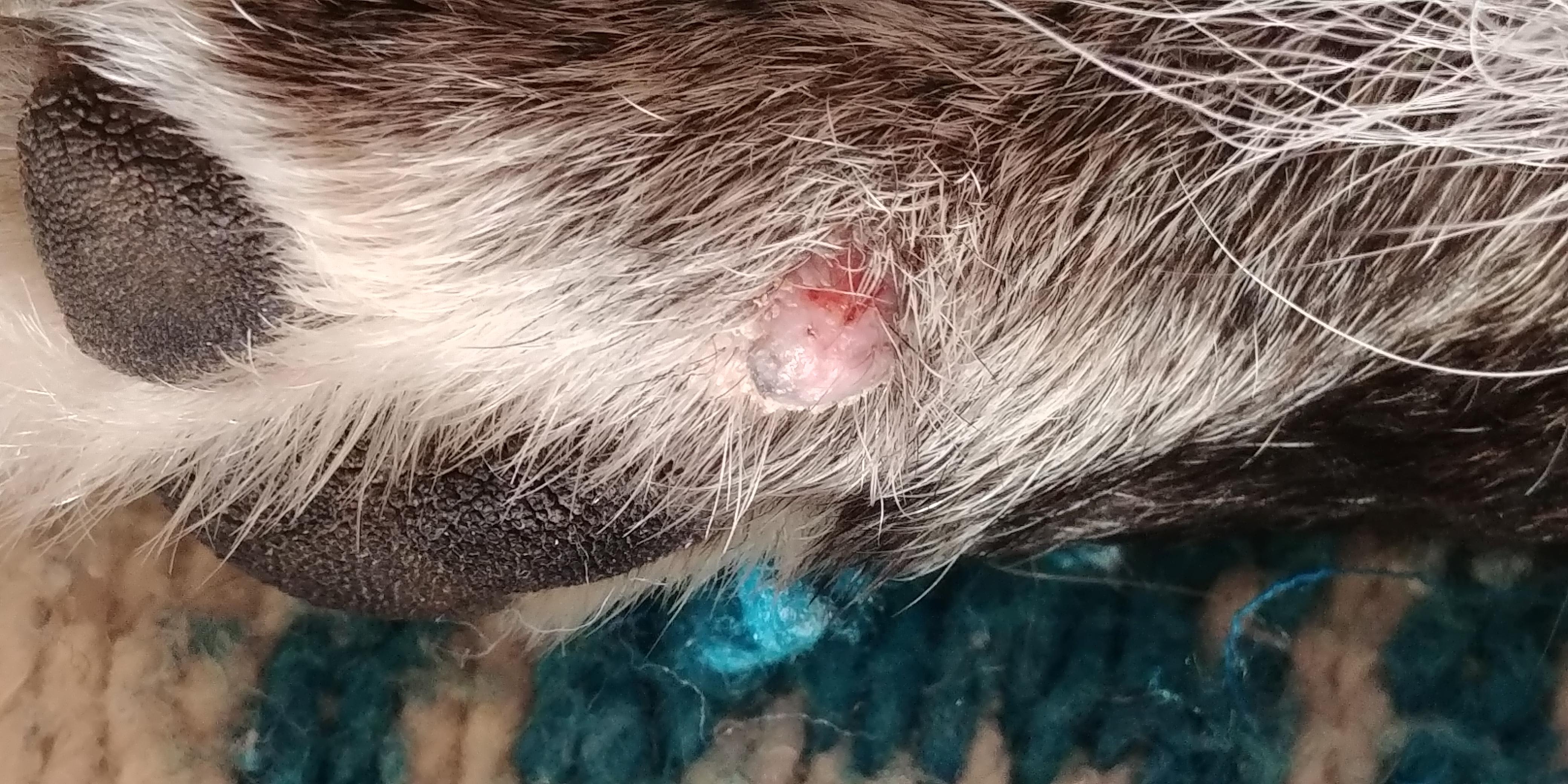 Question details sensitive content