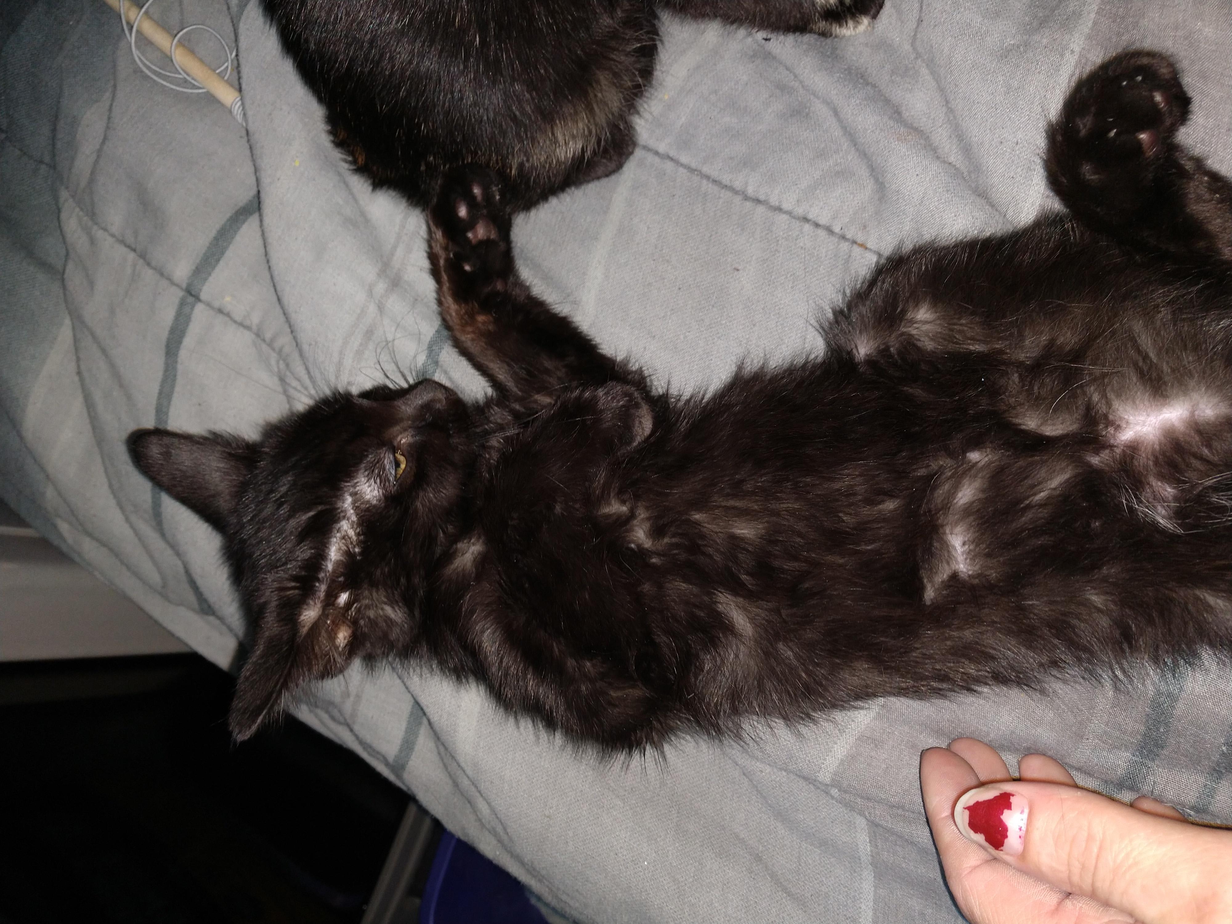 Question details sensitive content