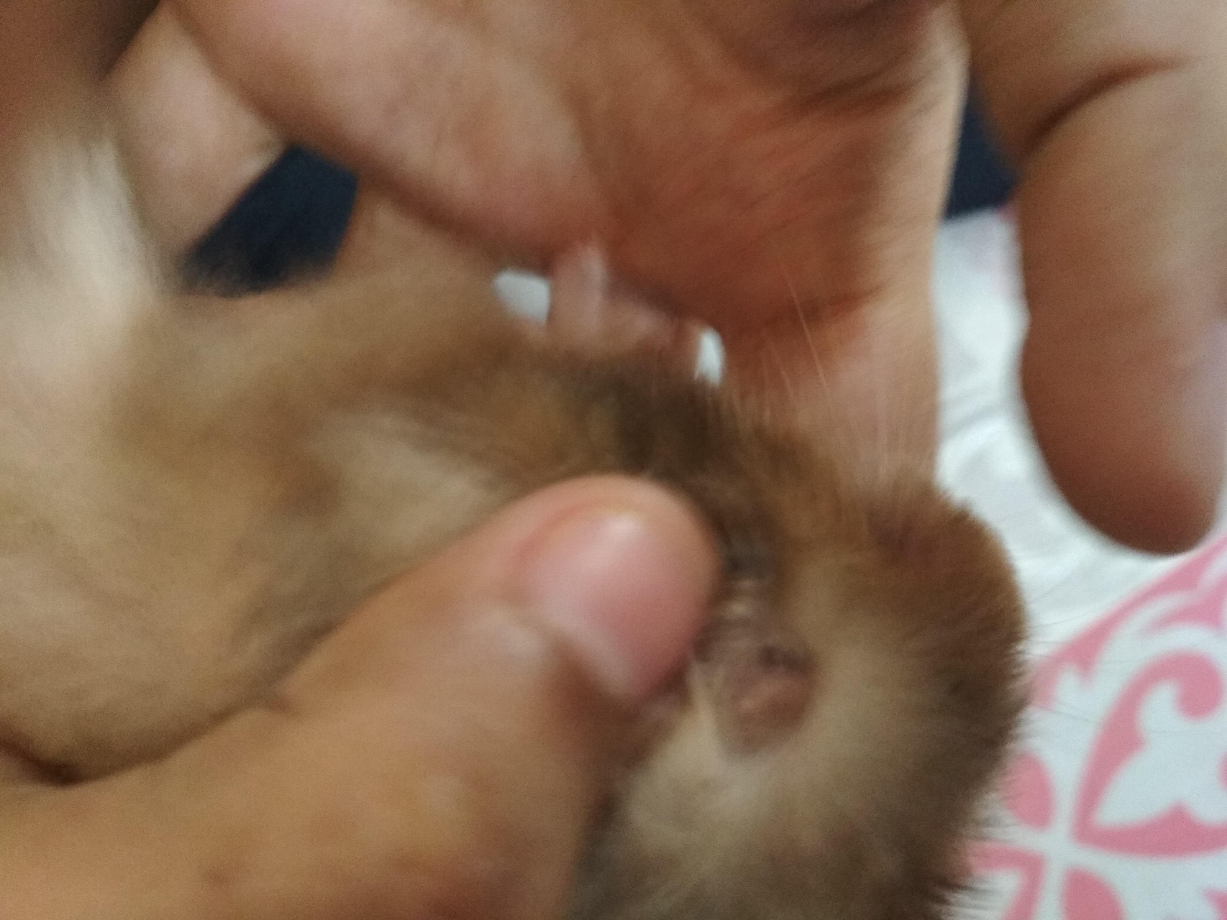 Question details sensitive content