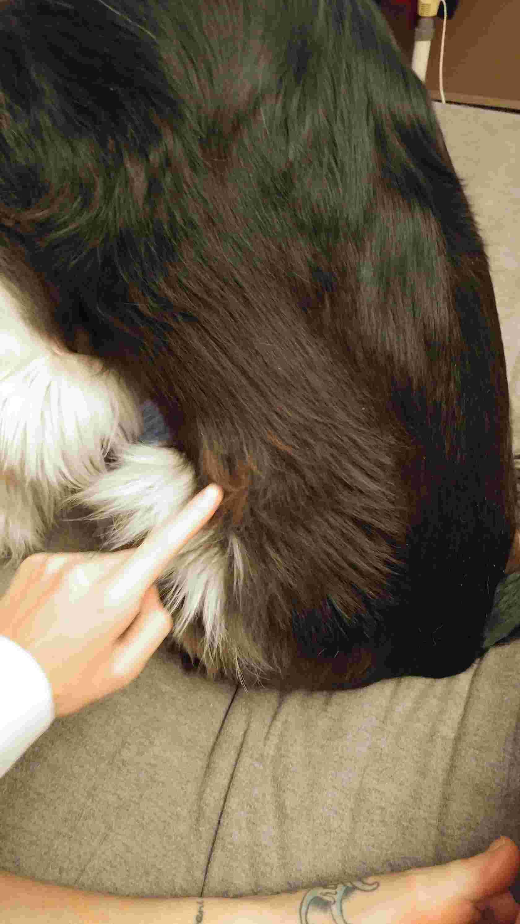 Question details sensitive content