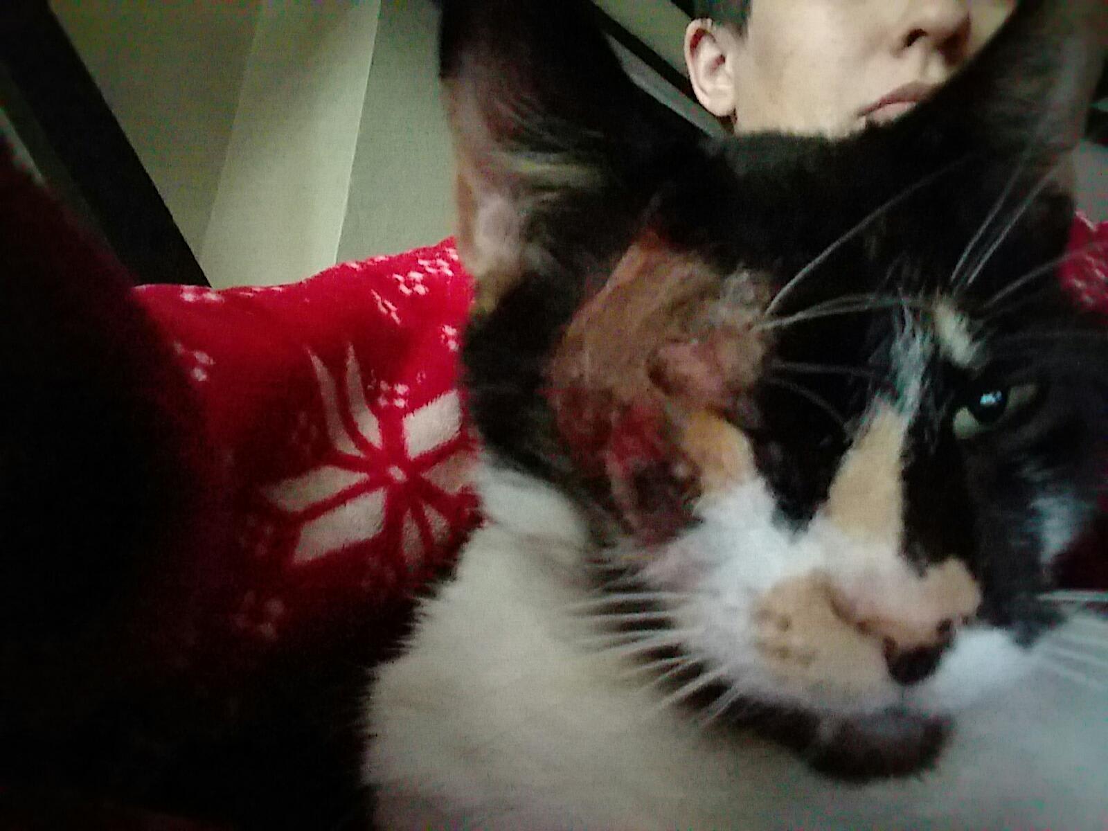 Question details sensitive content