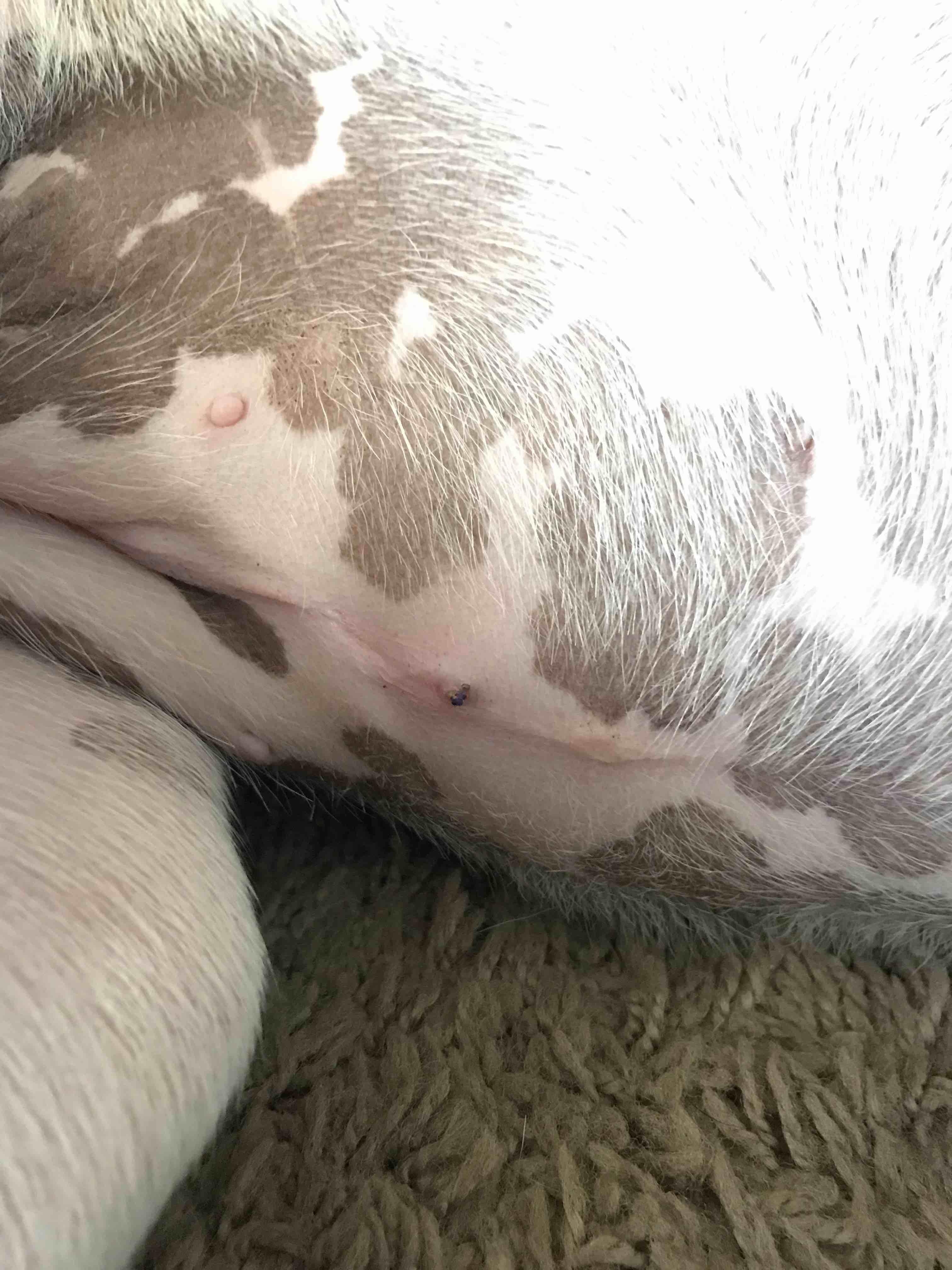 Question details sensitive content