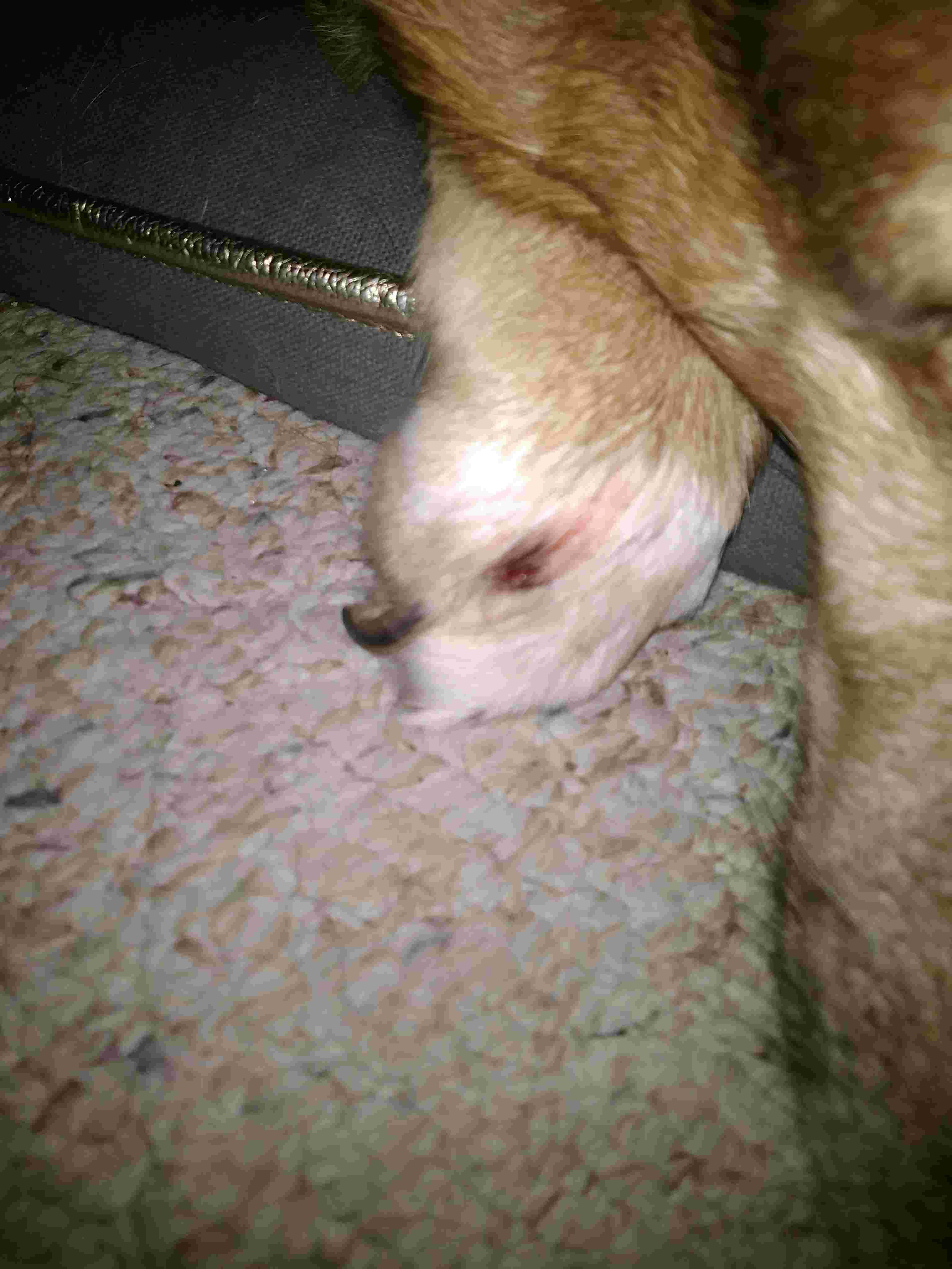 Question details sensitive content