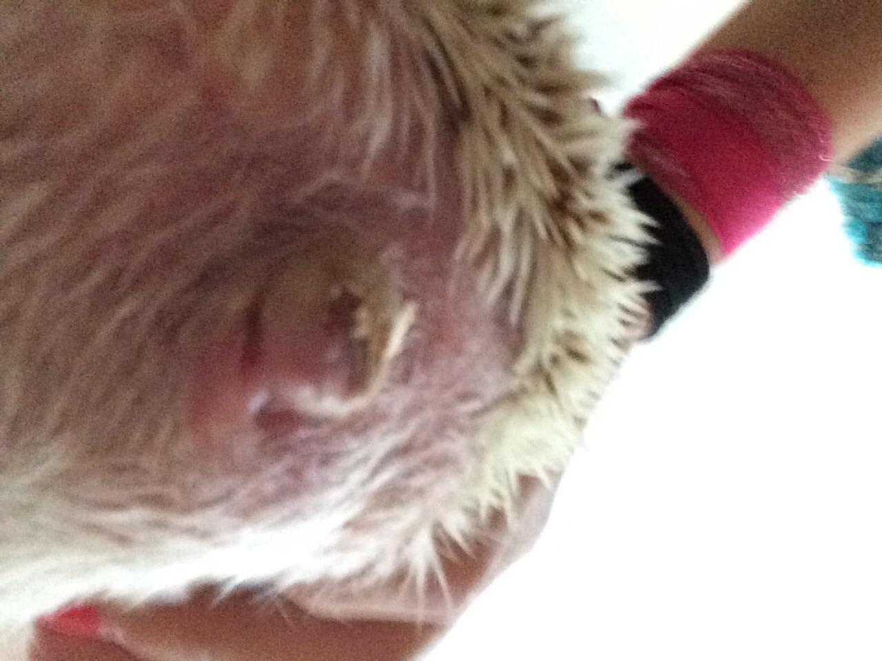 Question details sensitive content