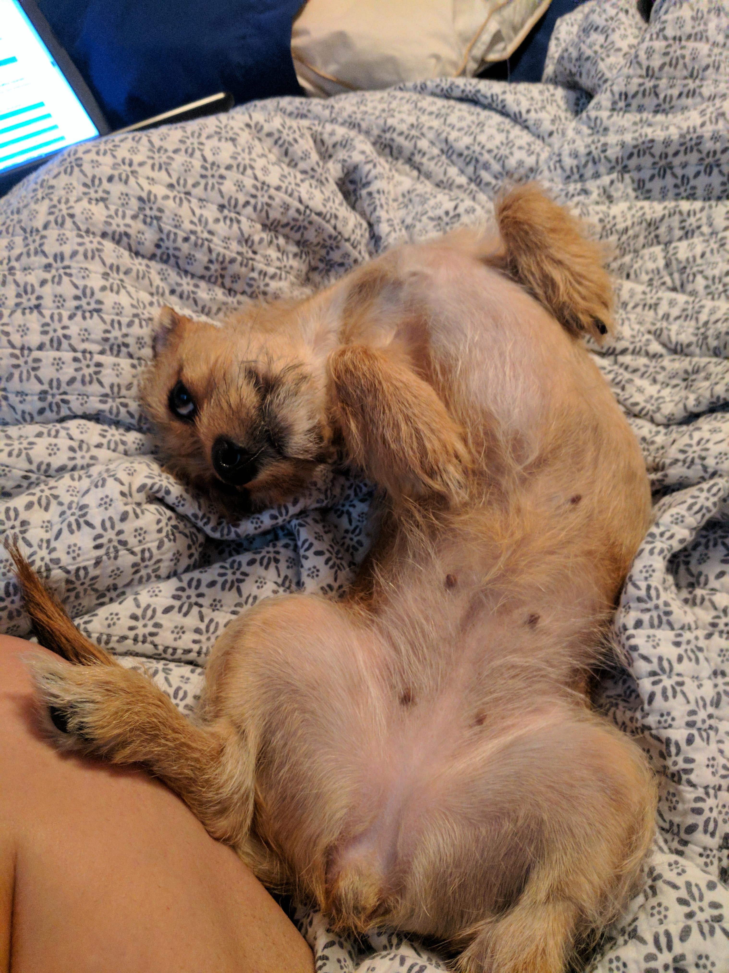 Question details sensitive content