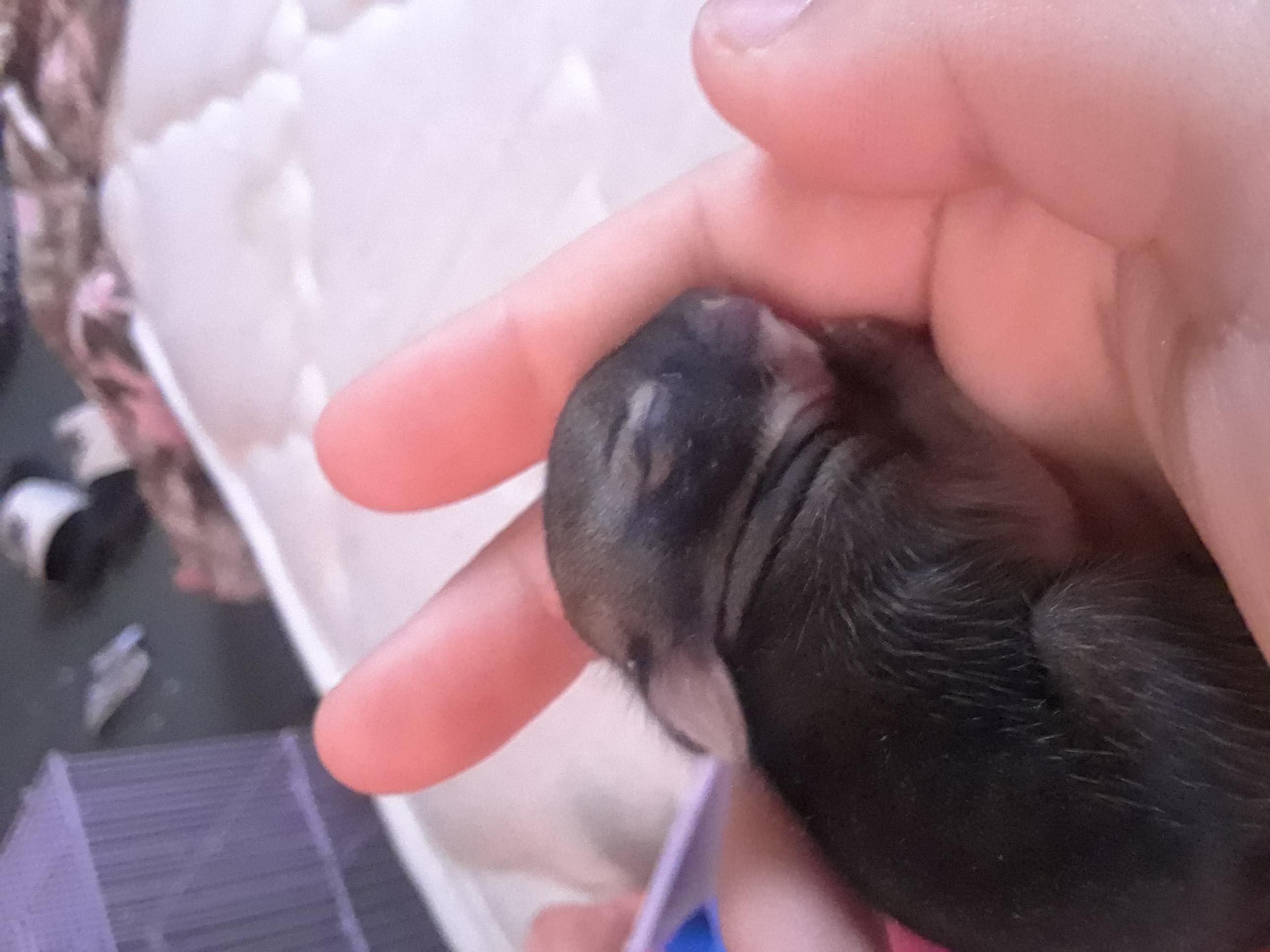 Question details sensitive content