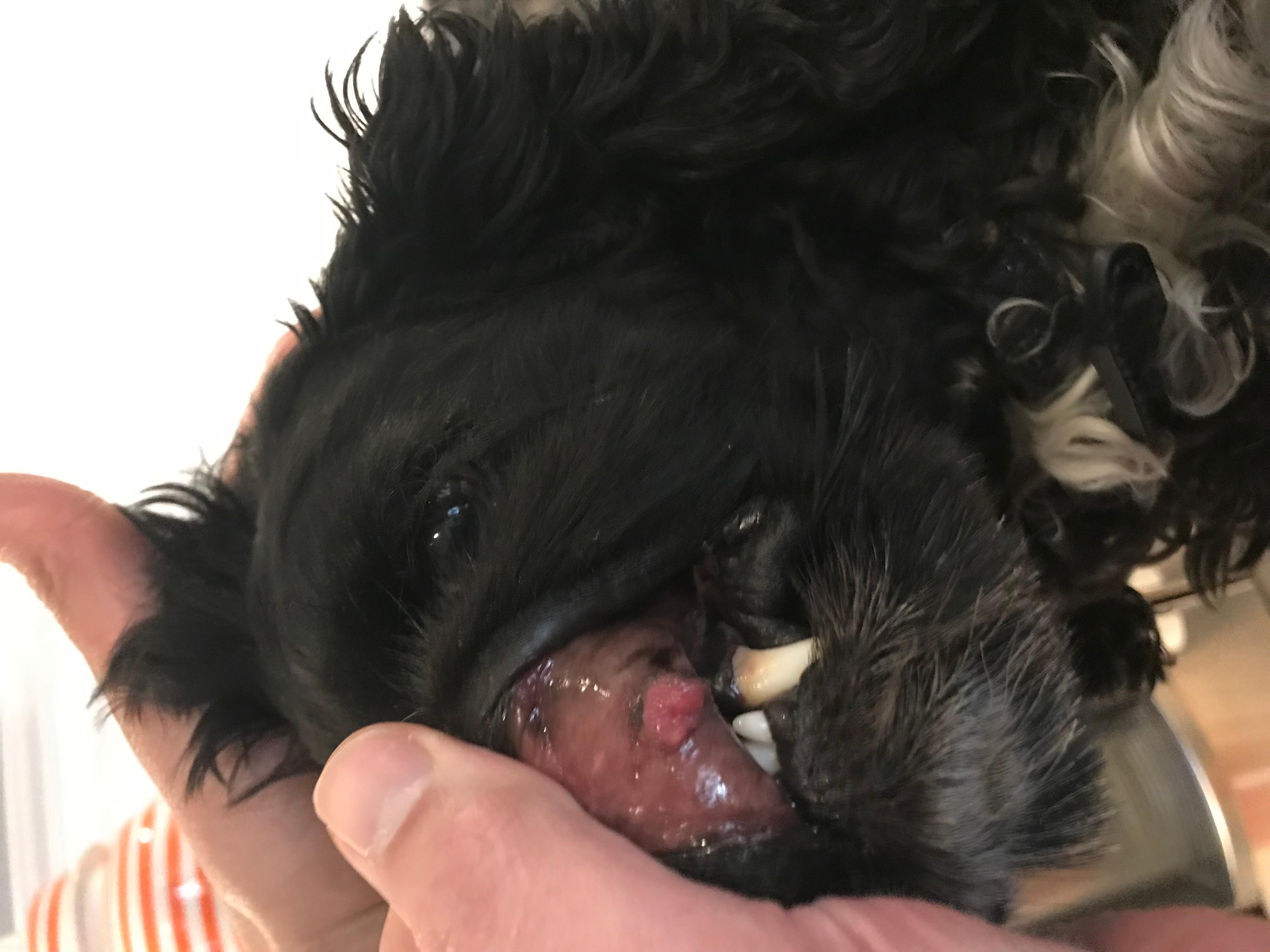 Question details sensitive content