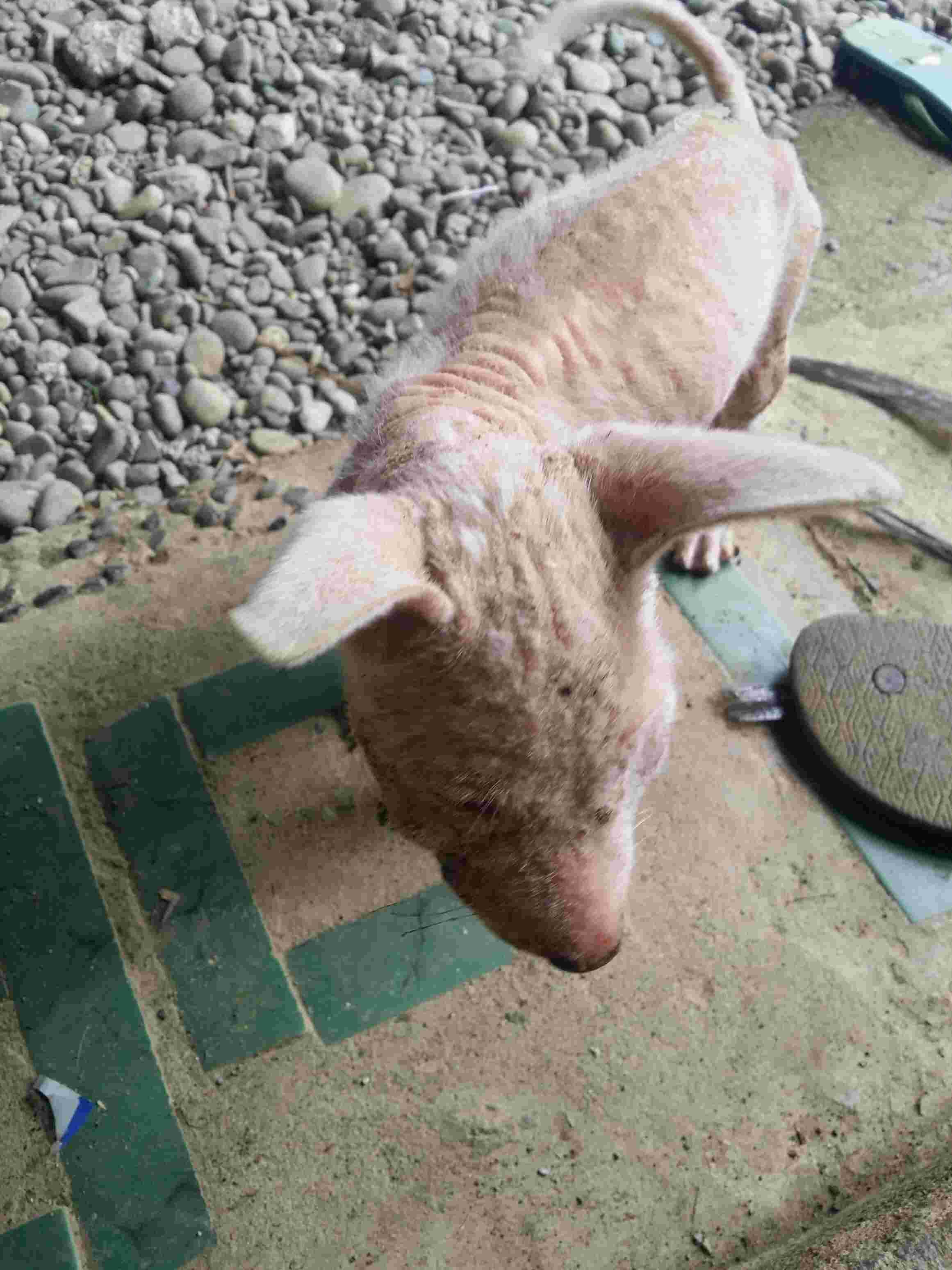 Question details sensitive content