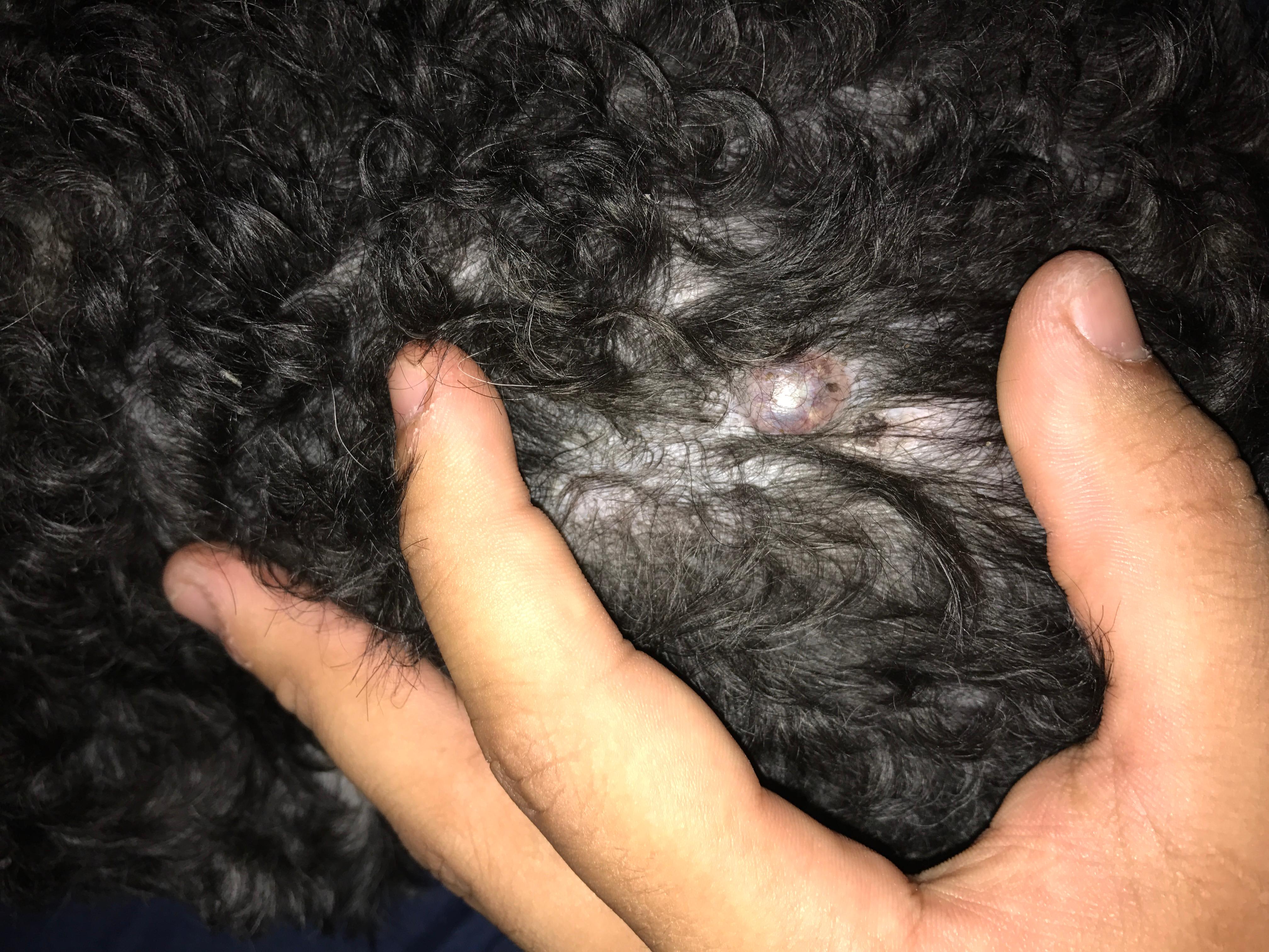 Question details sensitive content