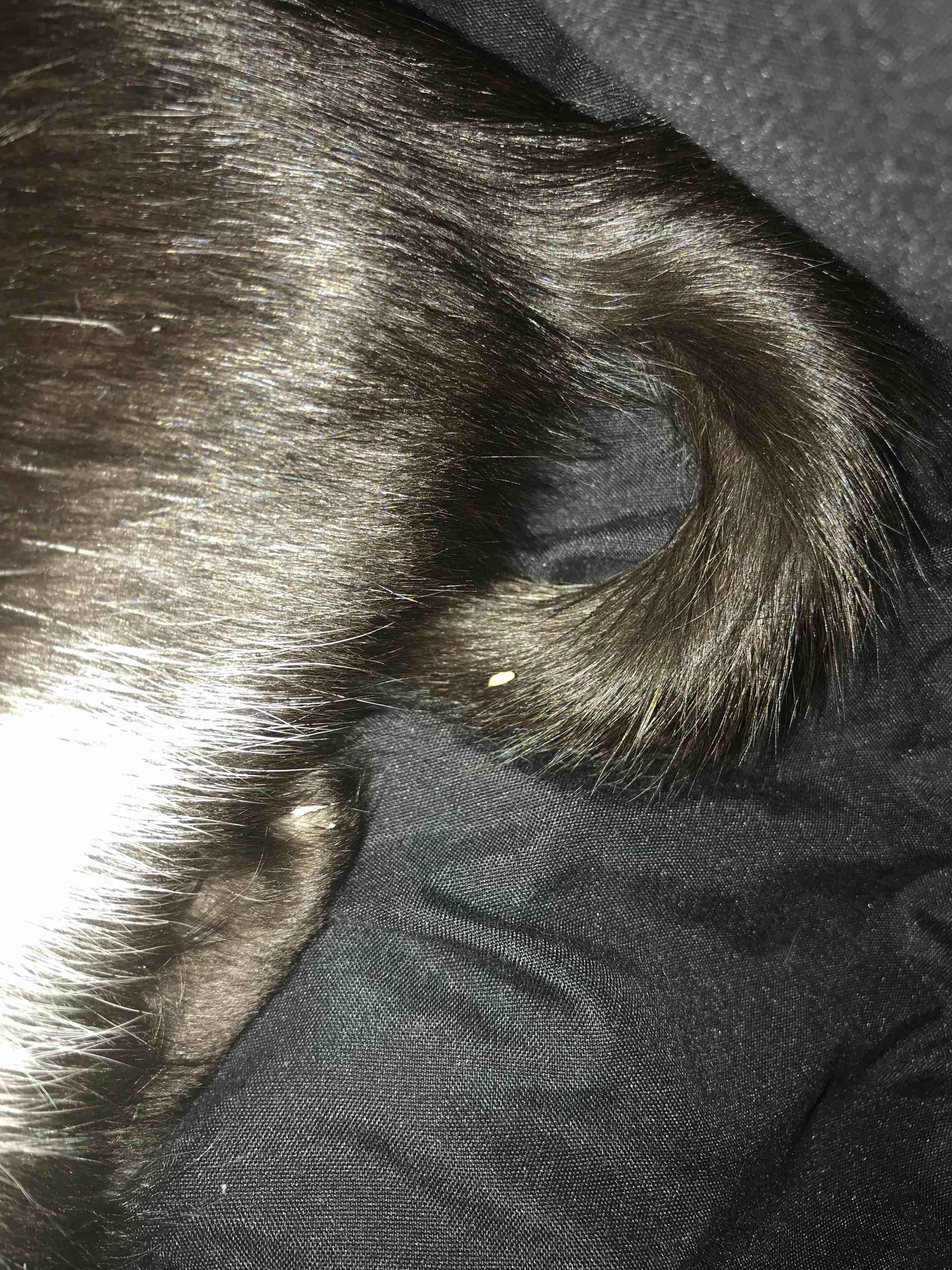 Question details sensitive content