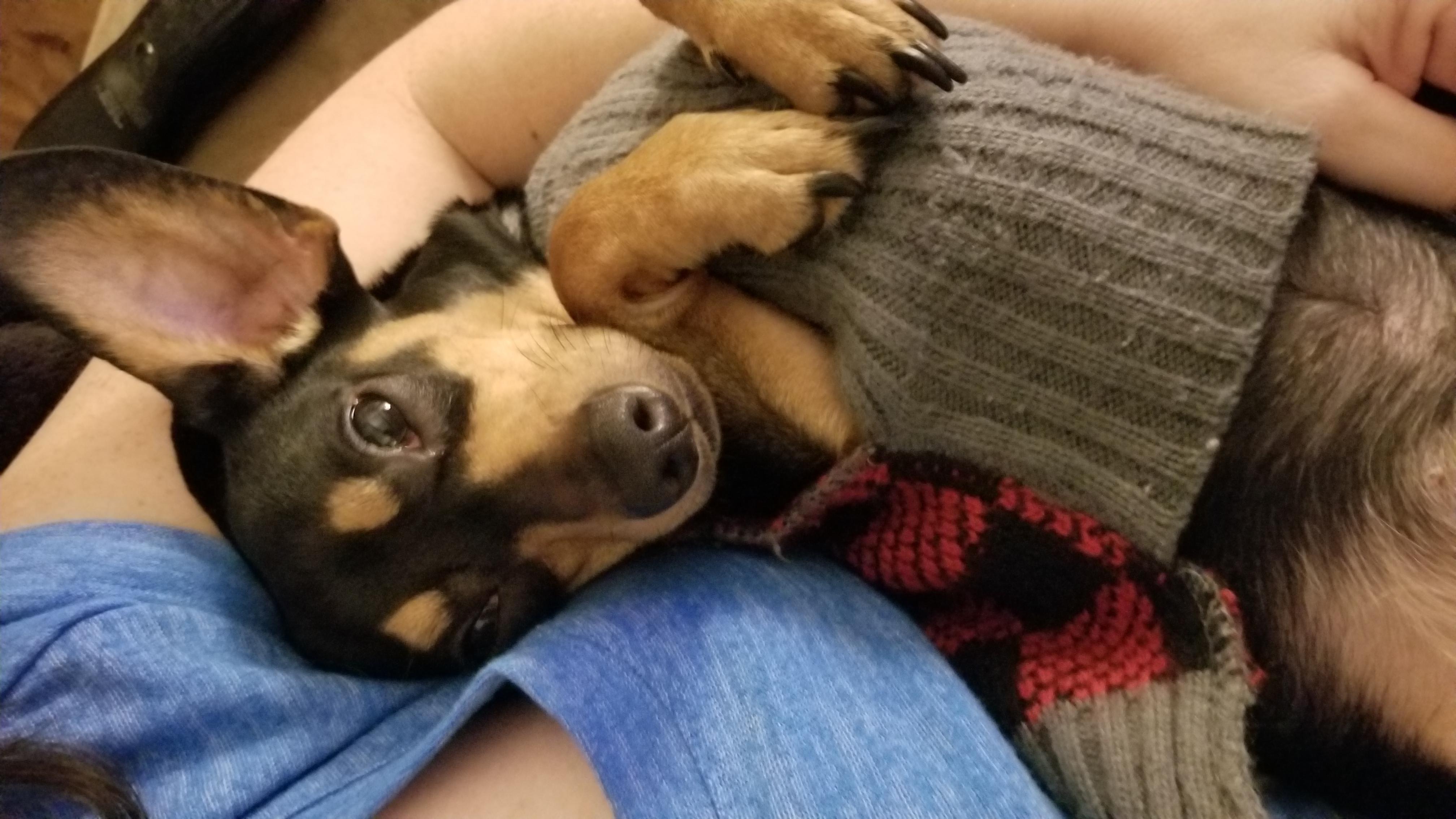 Question details sensitive content