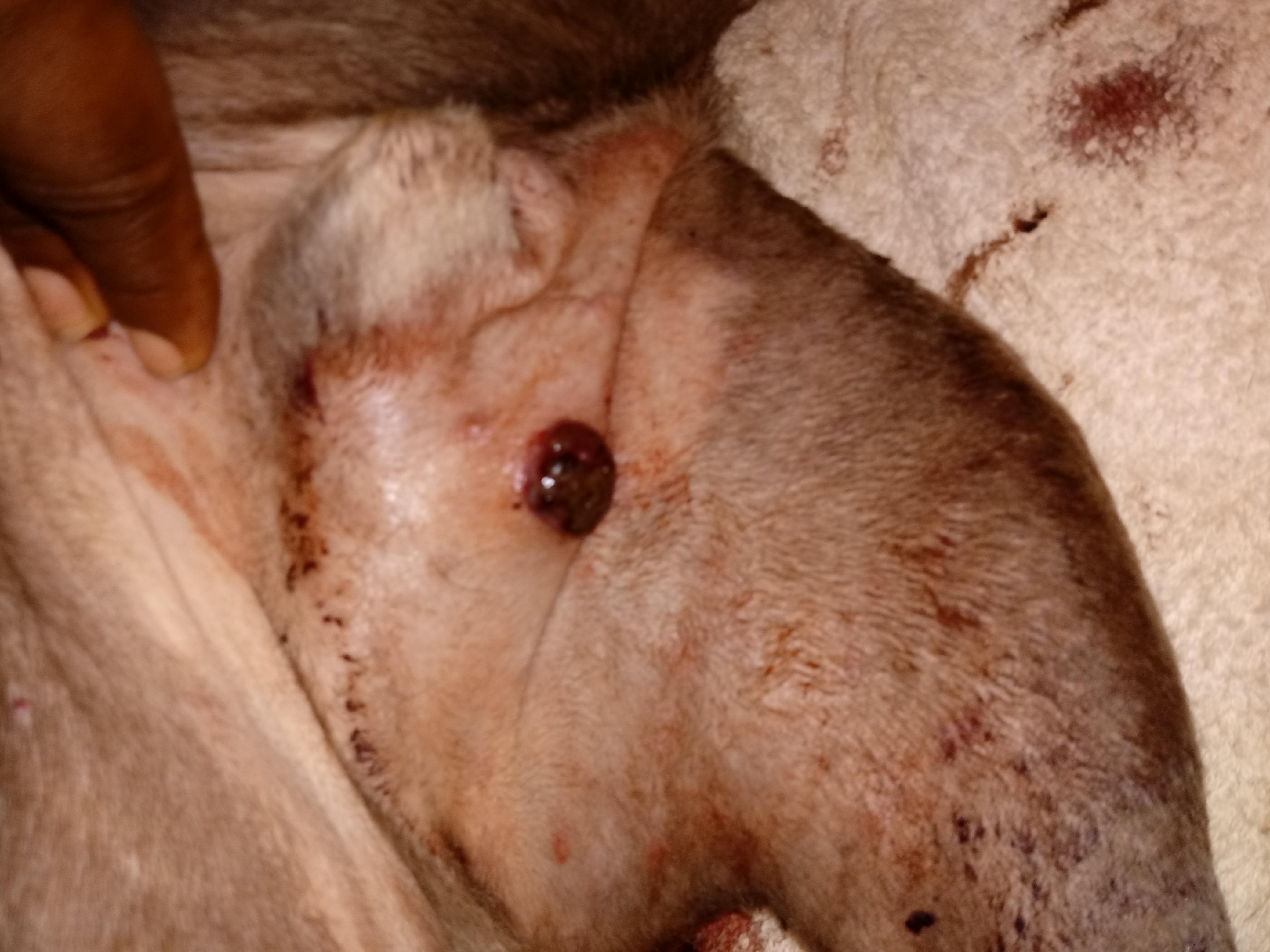 Question details sensitive content