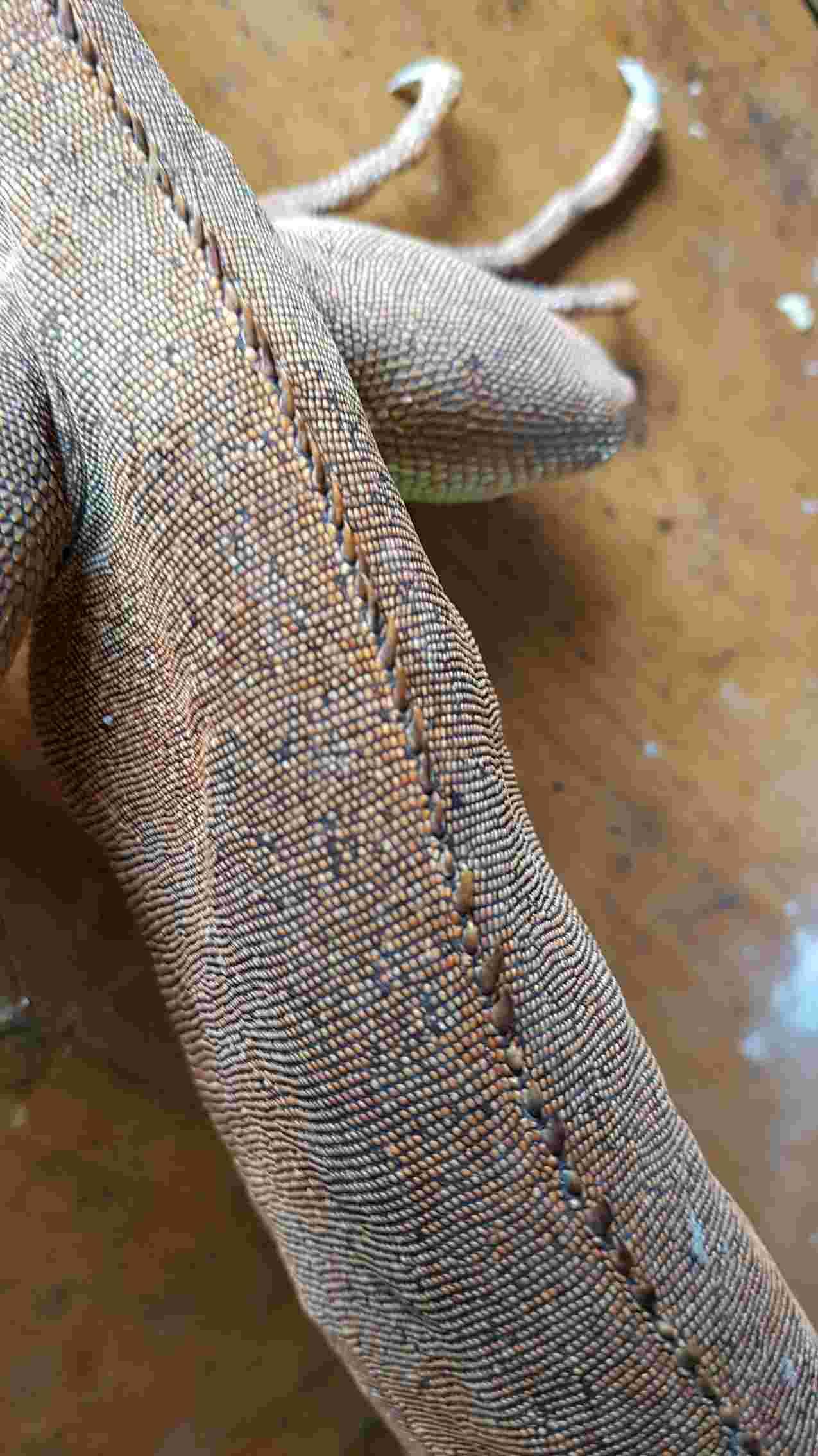 Question details sensitive content