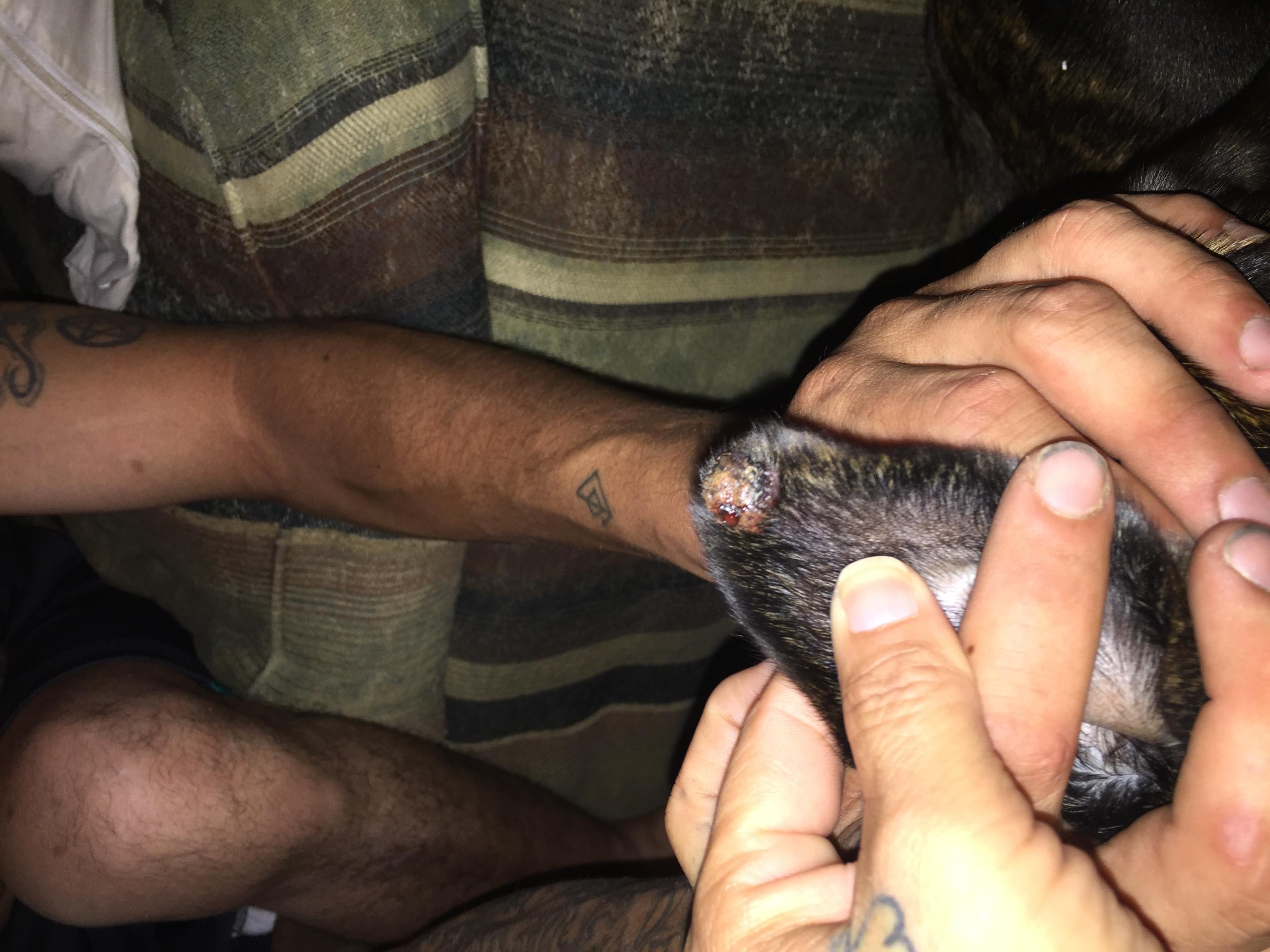 Question details sensitive content