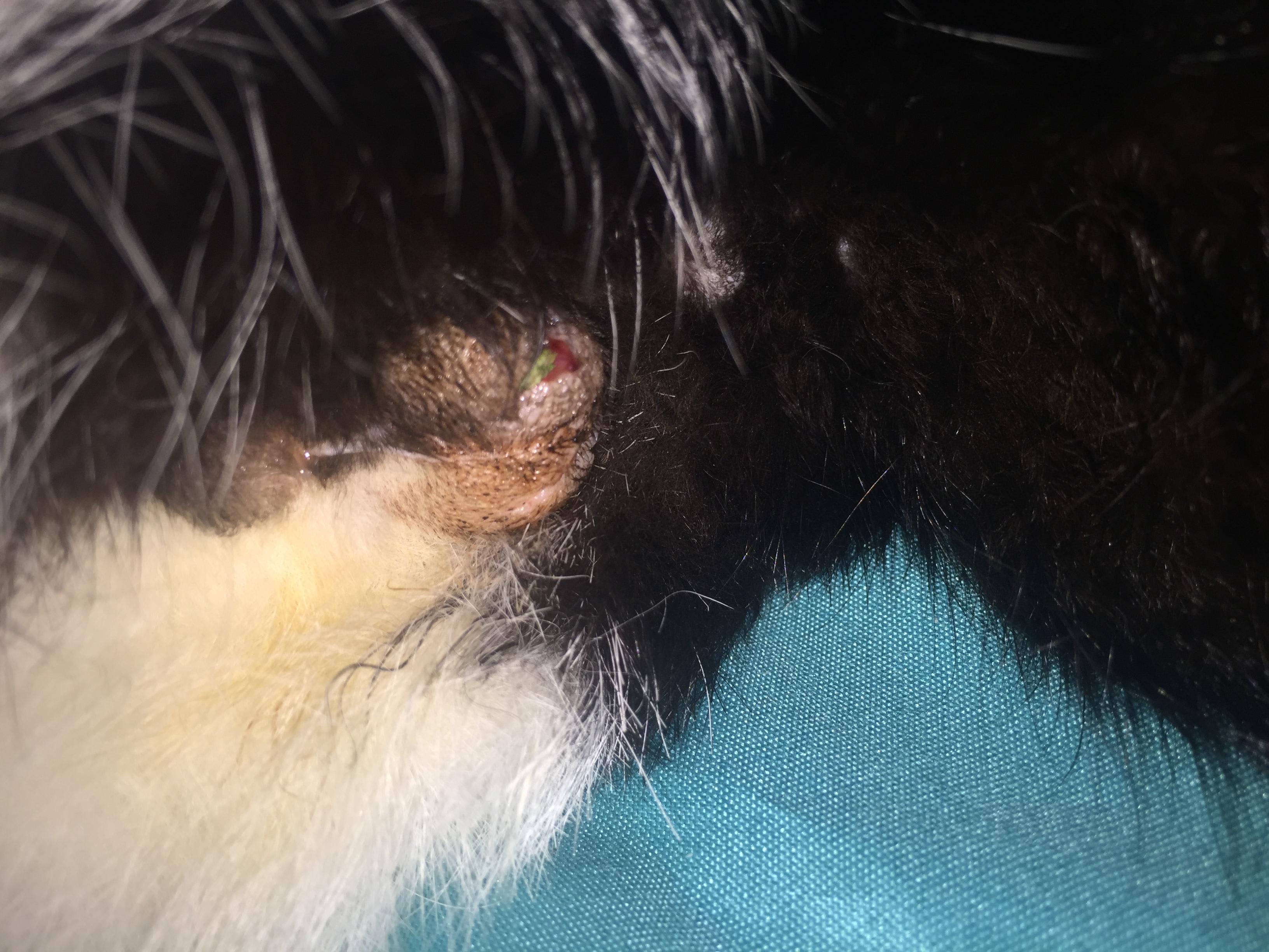 Question details sensitive content