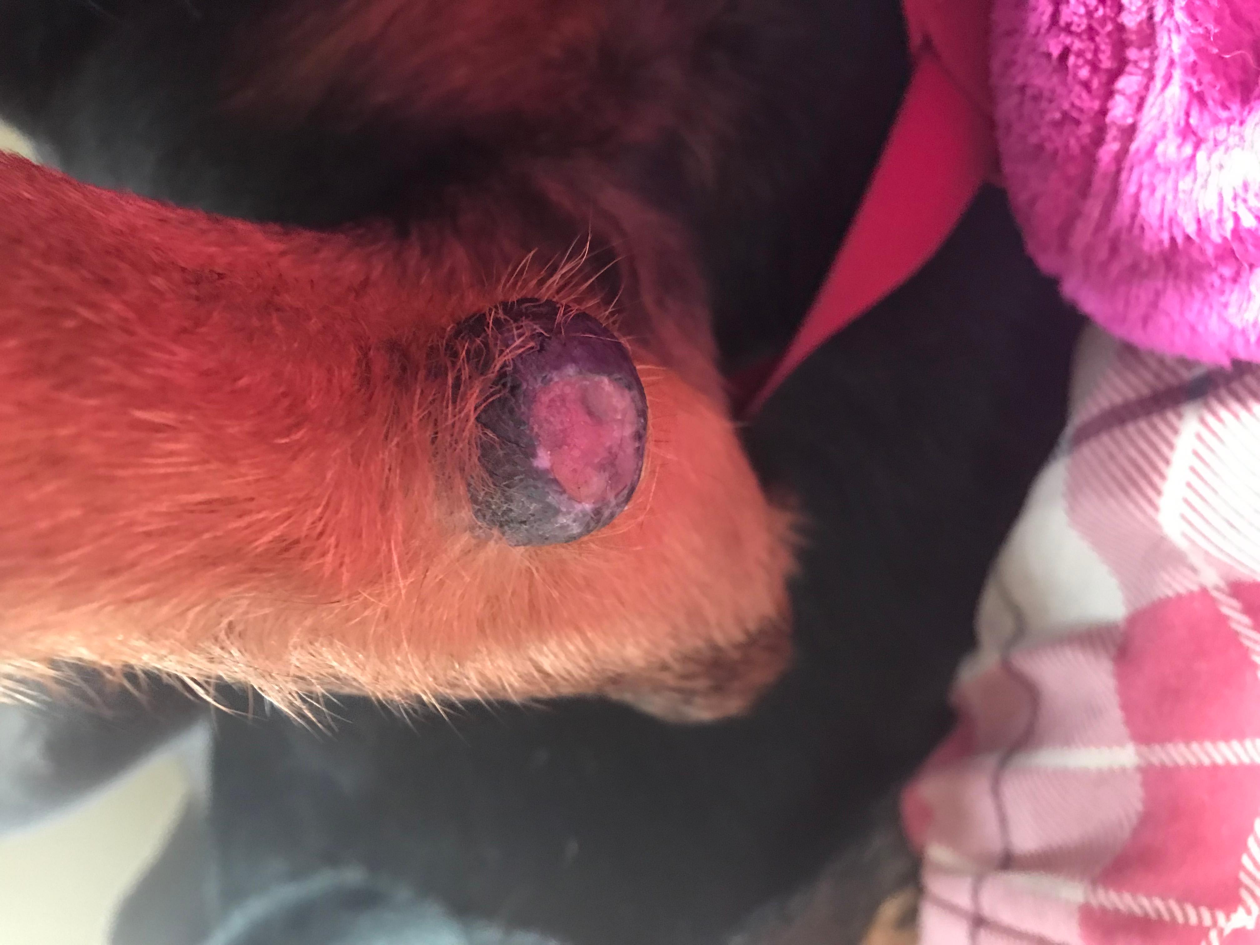 Question details sensitive content