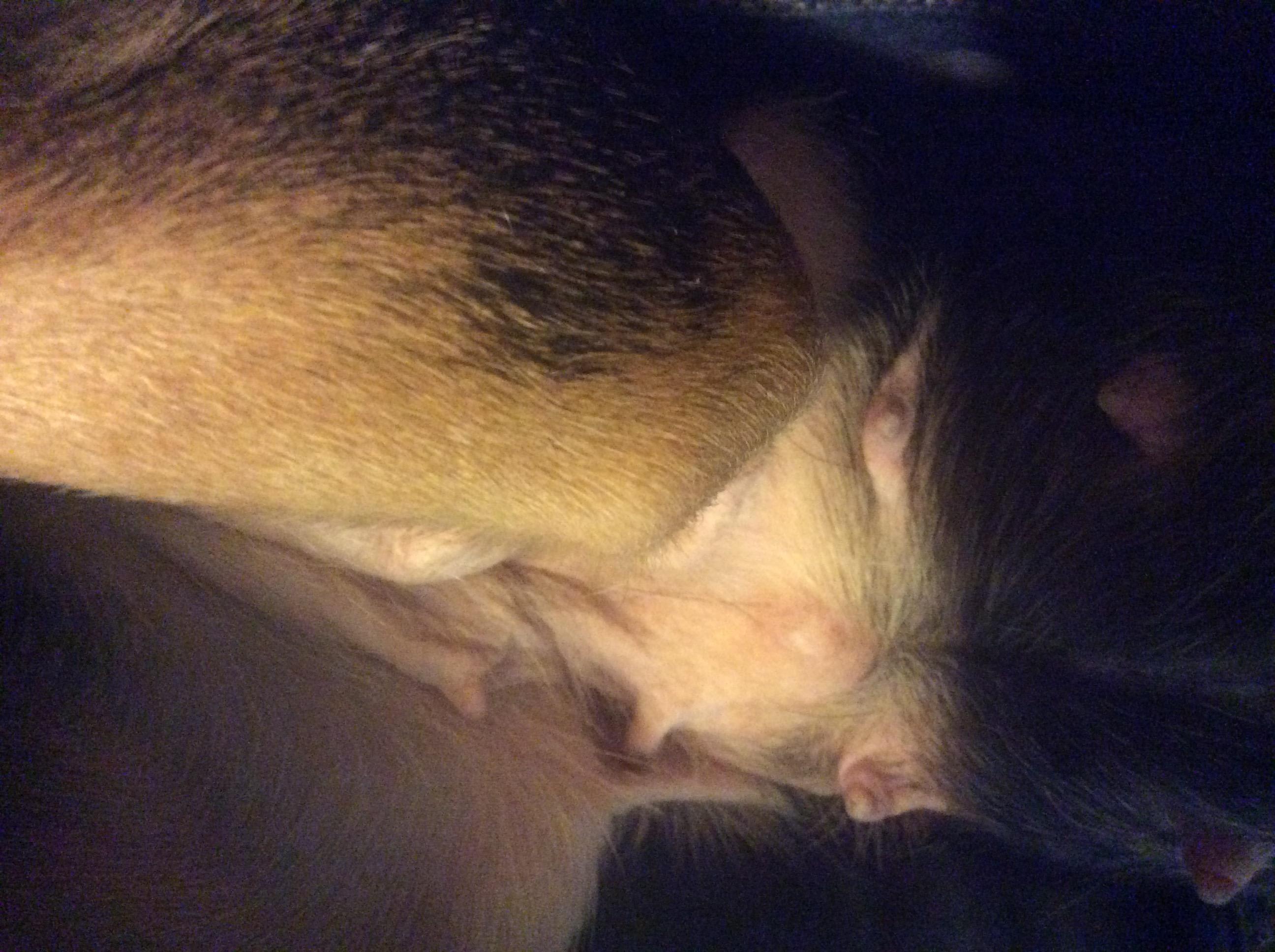 Question details sensitive content